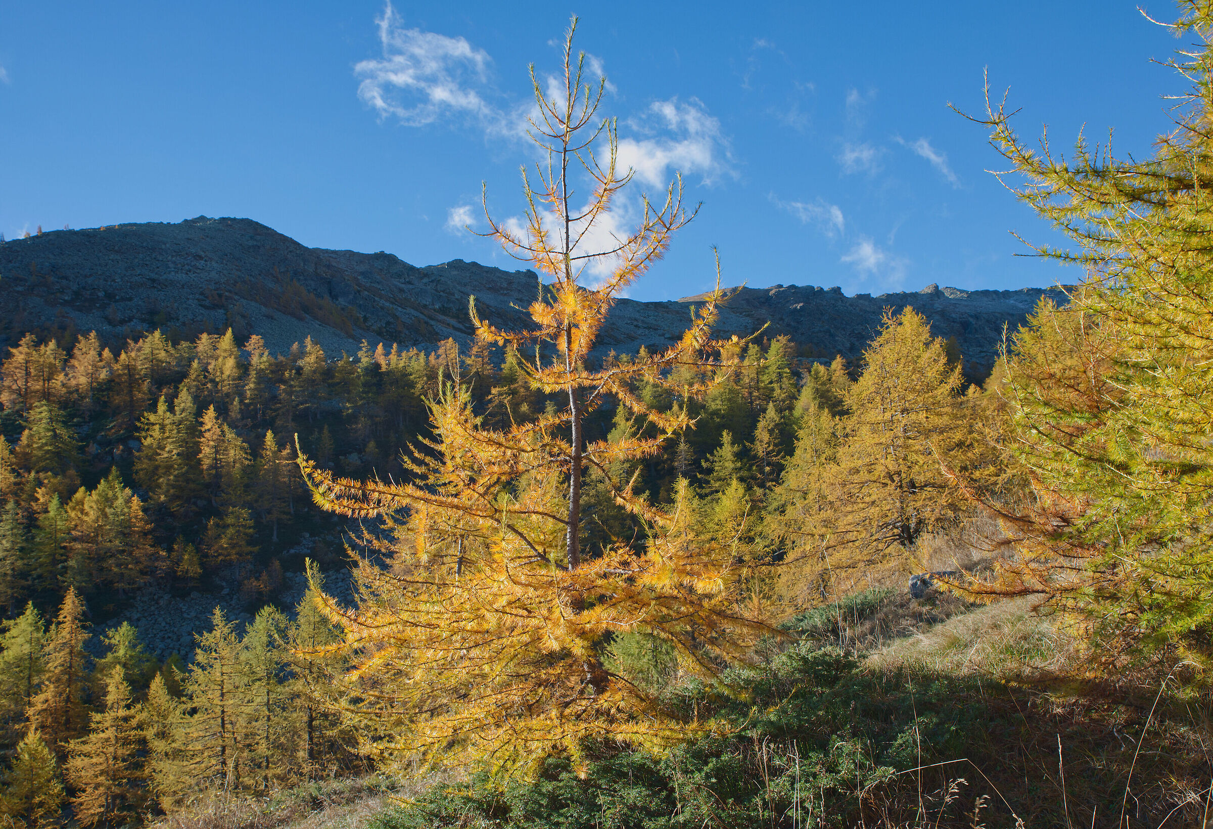 Alta Val Bognanco - the colours of autumn