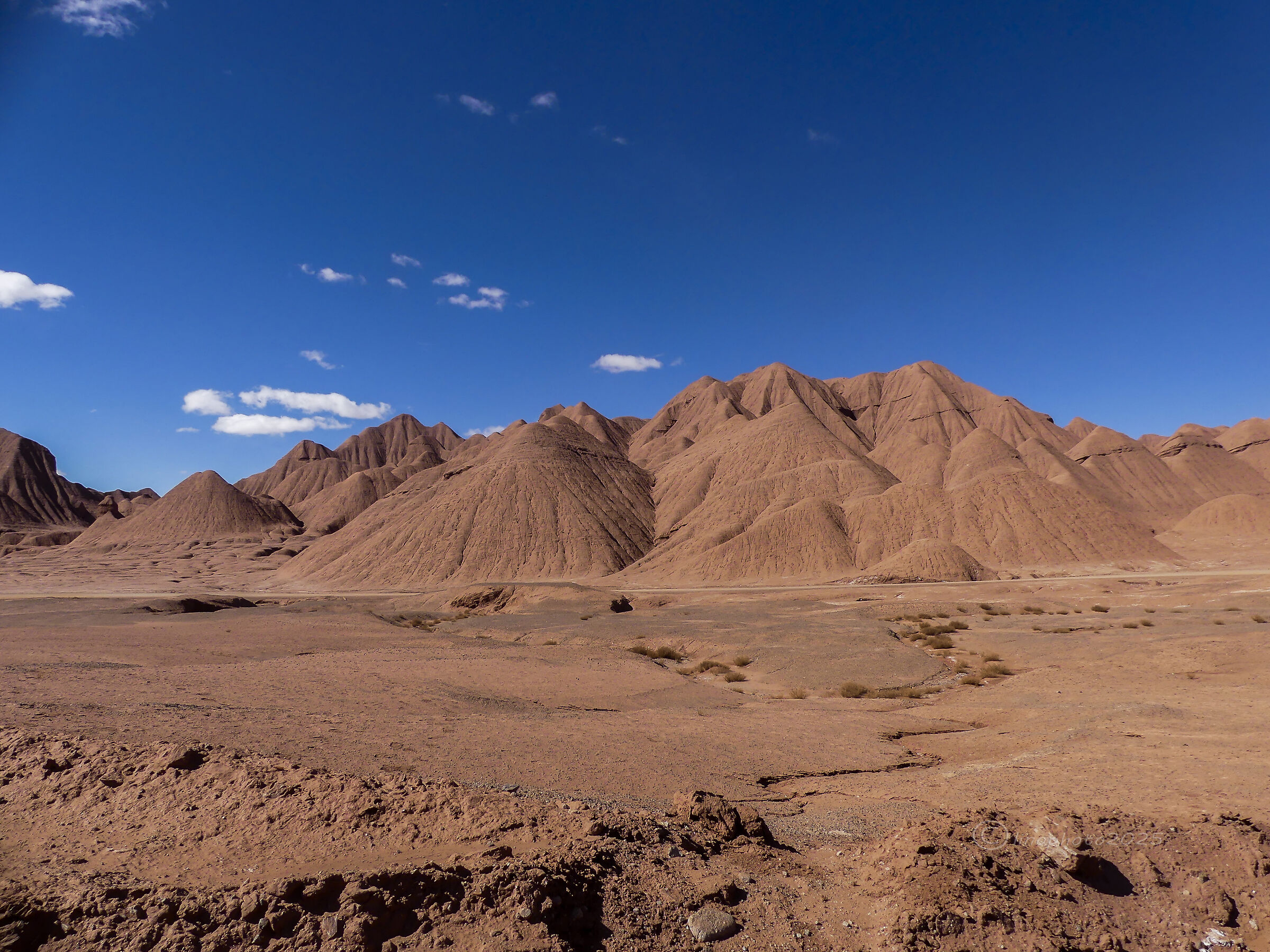 Destiny of the Labyrinth