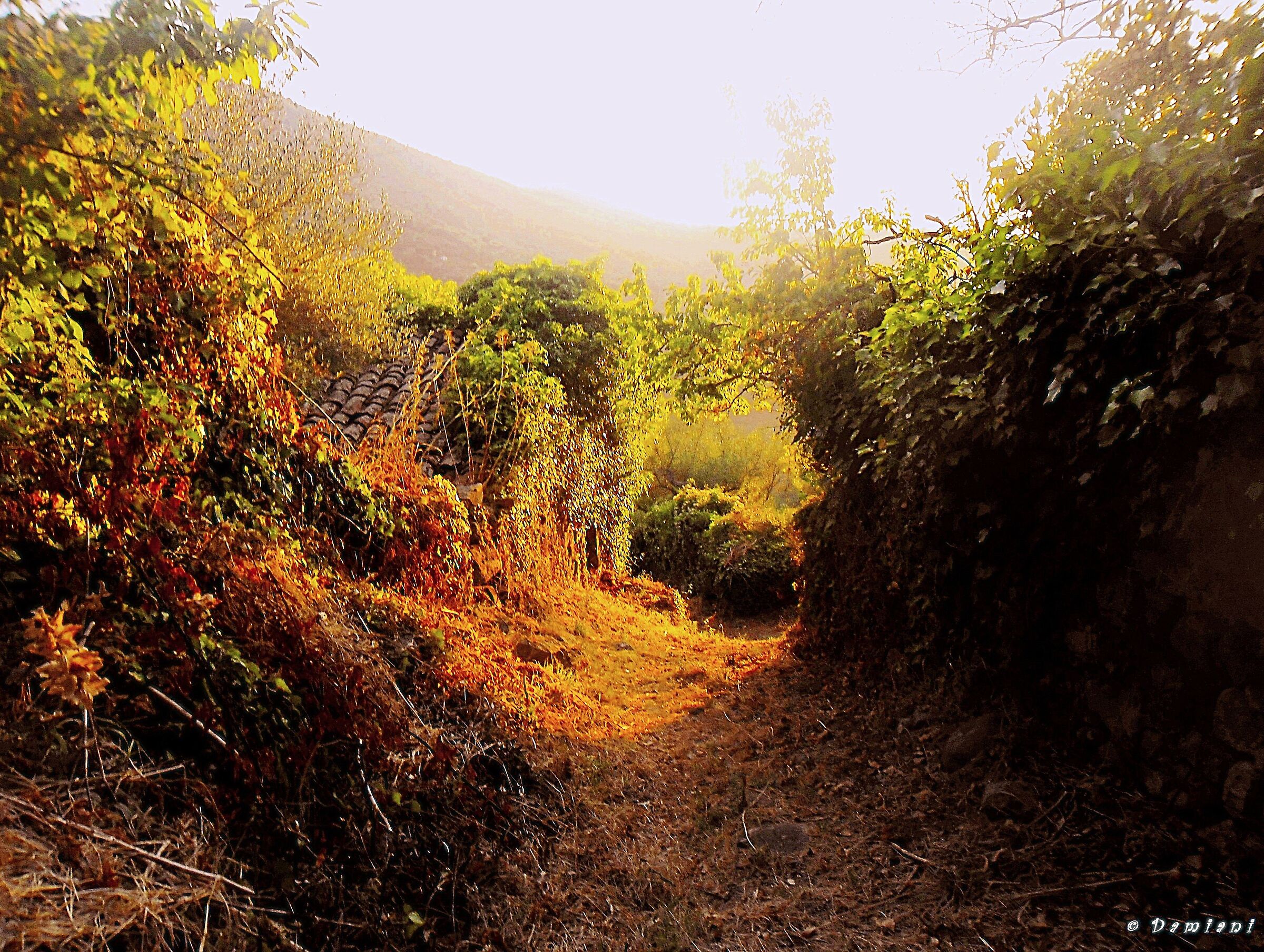 Oltre i confini dello sguardo