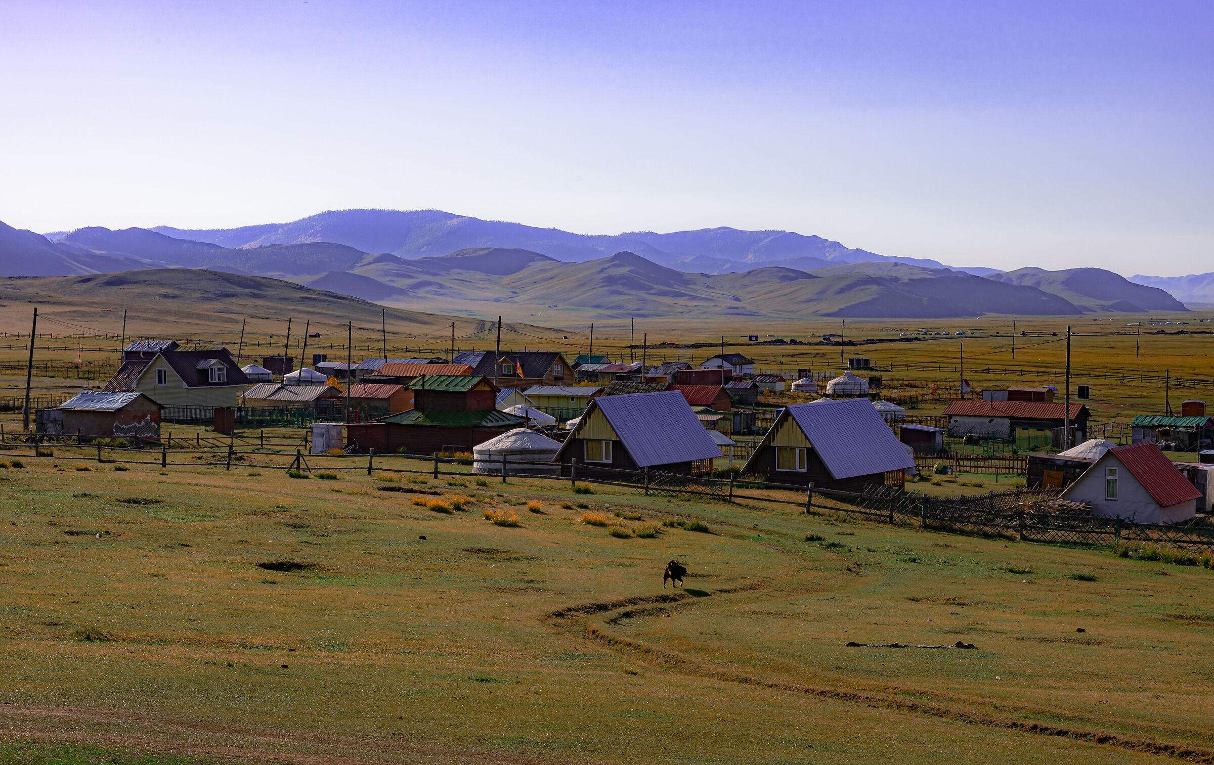 Awakening in the steppe