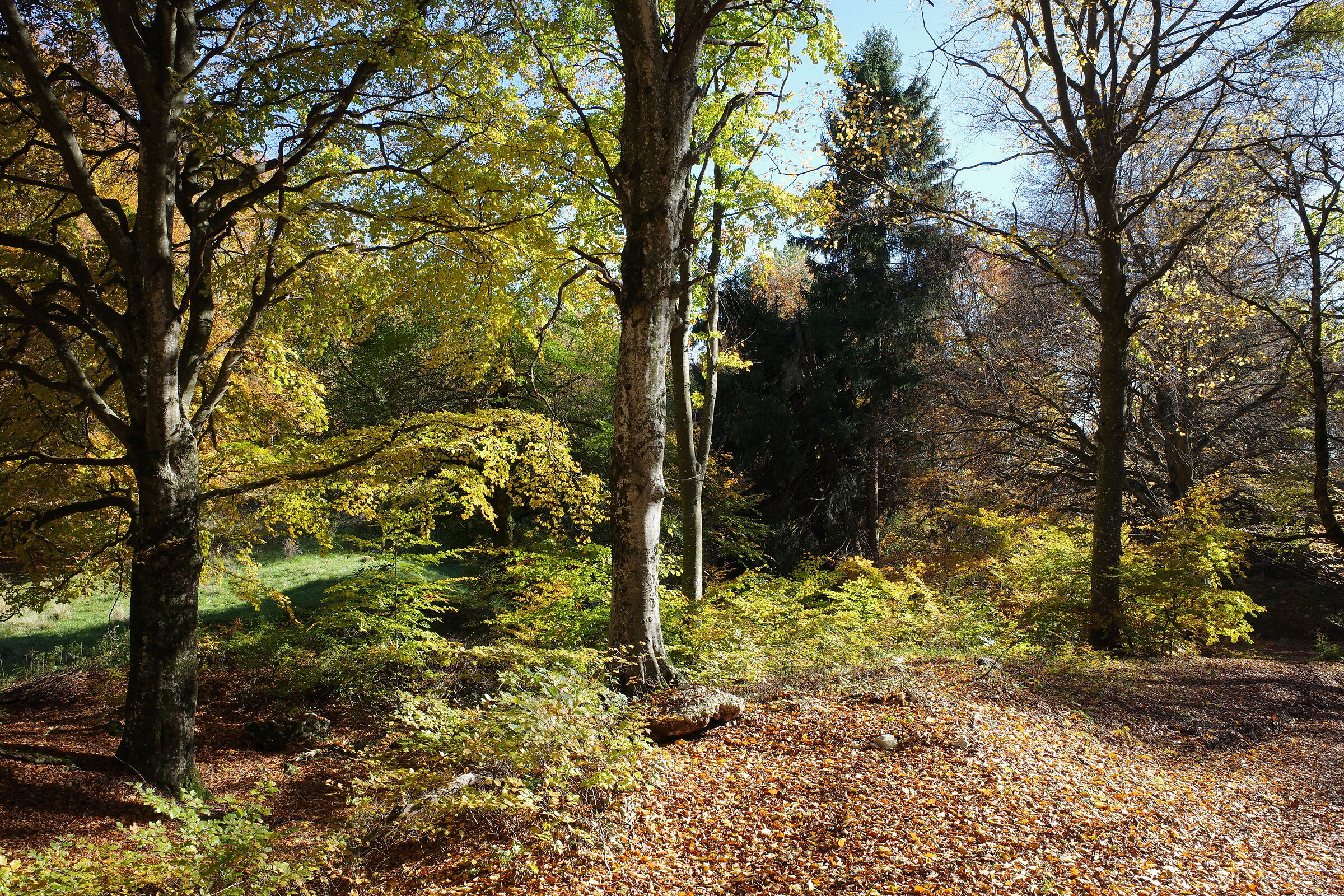 Malga IME - Monte Baldo