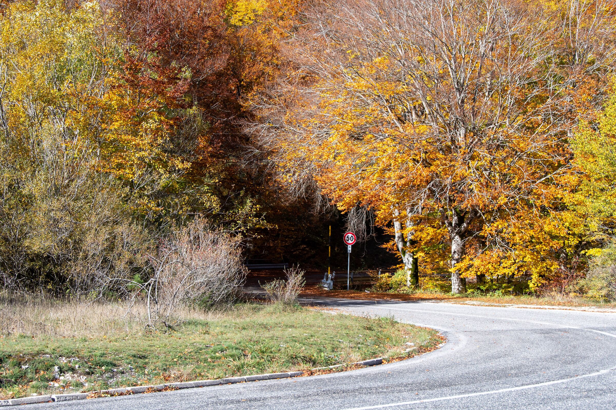 Autumn