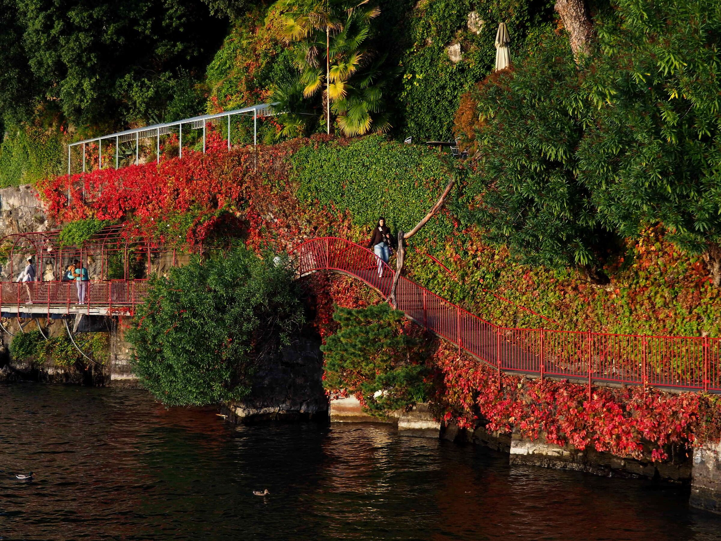 Varenna  passeggiata autunnale