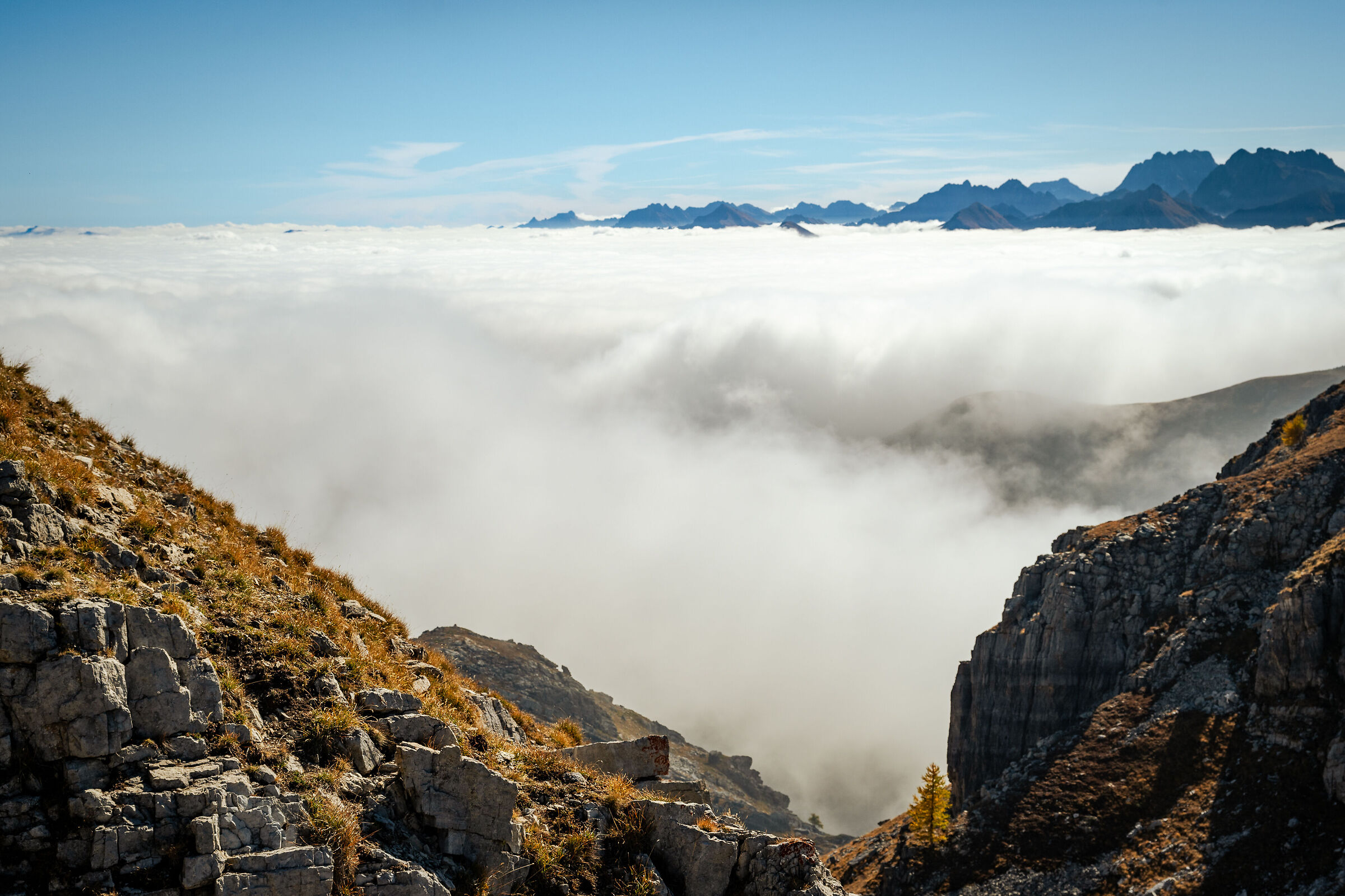 Above the clouds