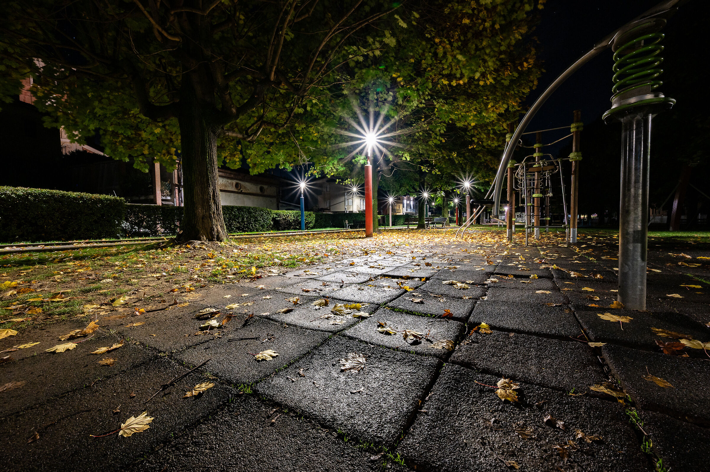 At the park at night