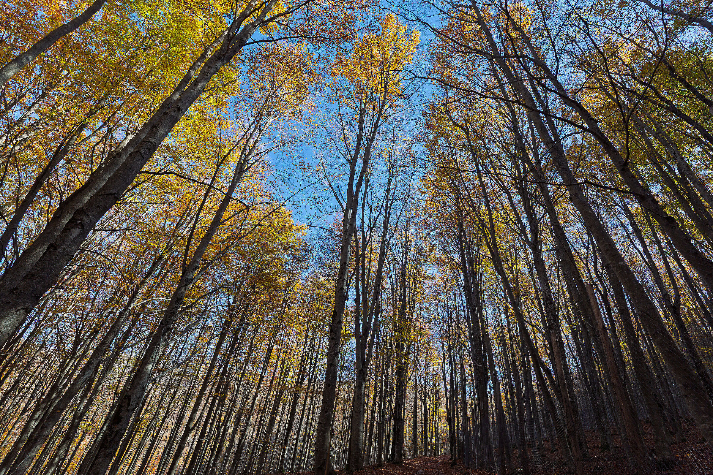 Autumn in Garfagnana