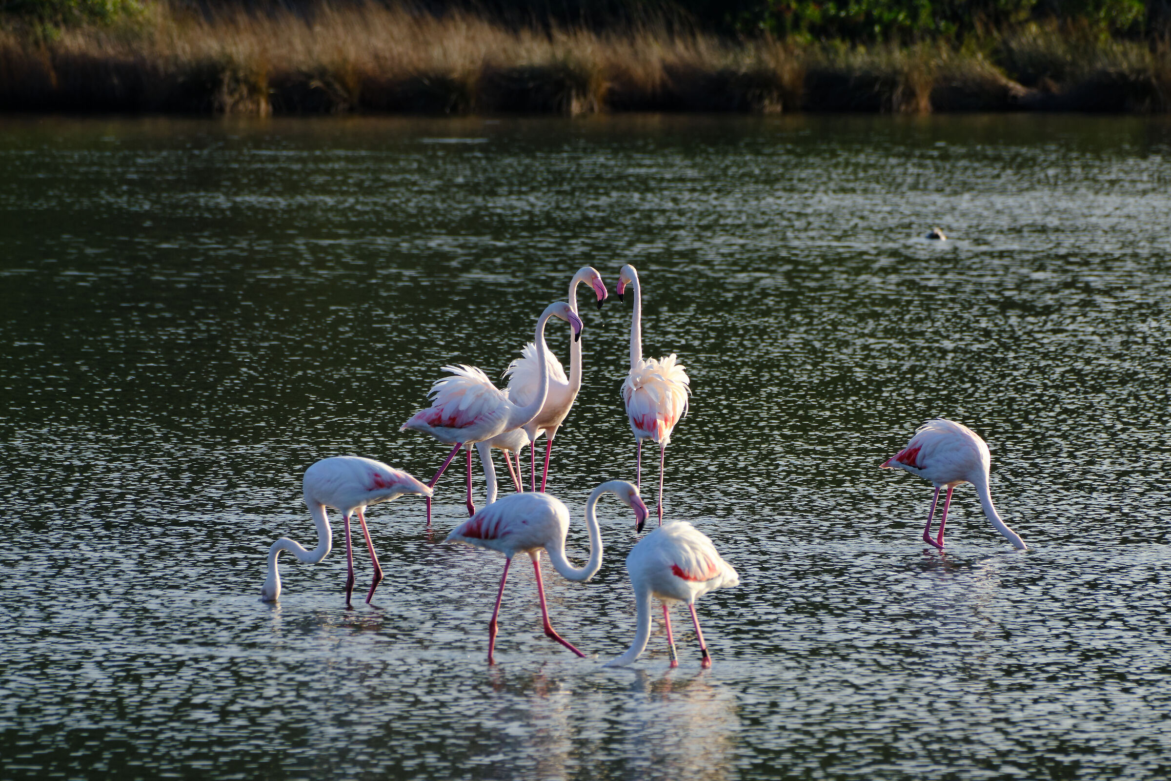 "Is the party here?"