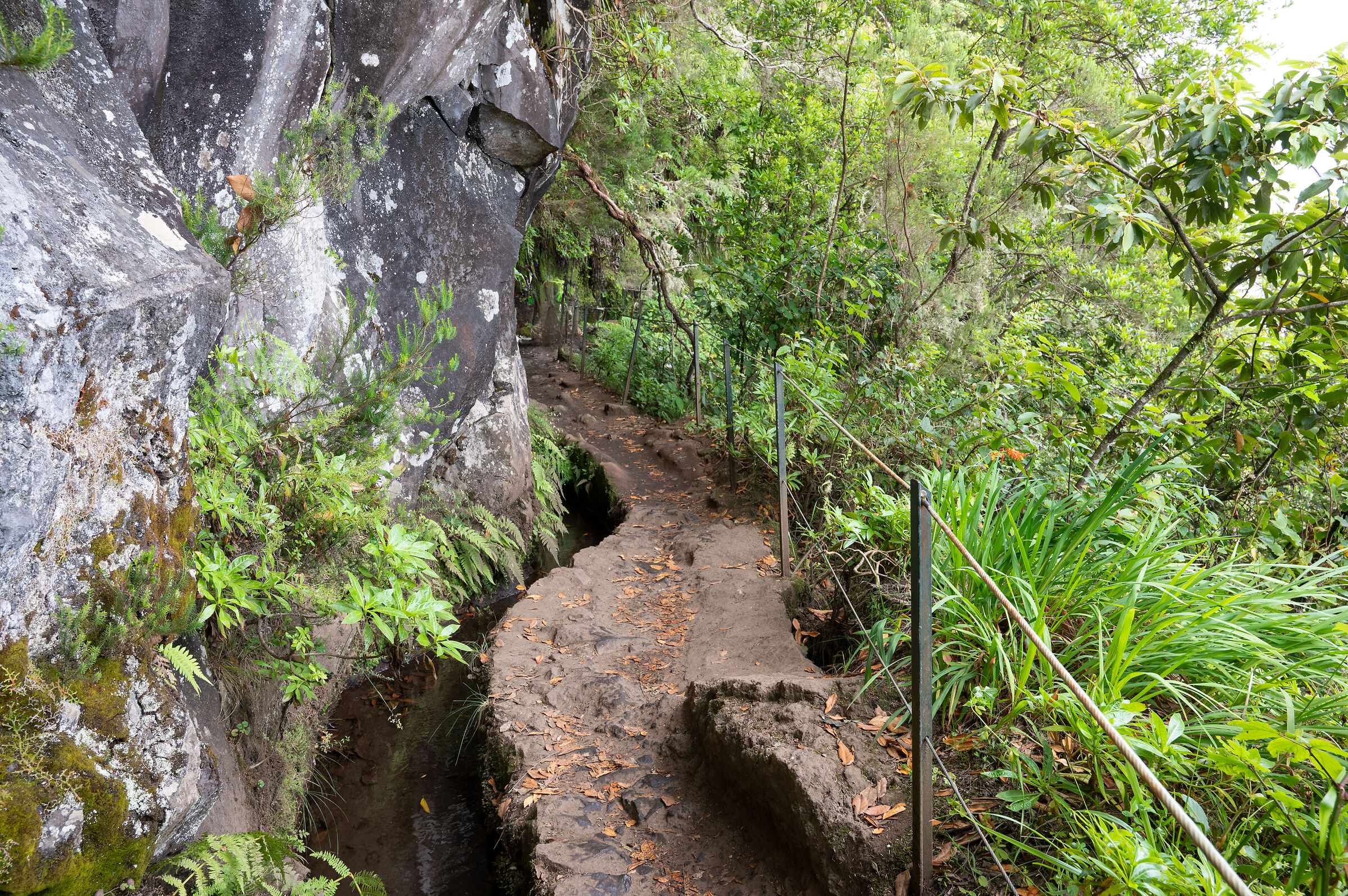 Levada do Caldeirao Verde 2