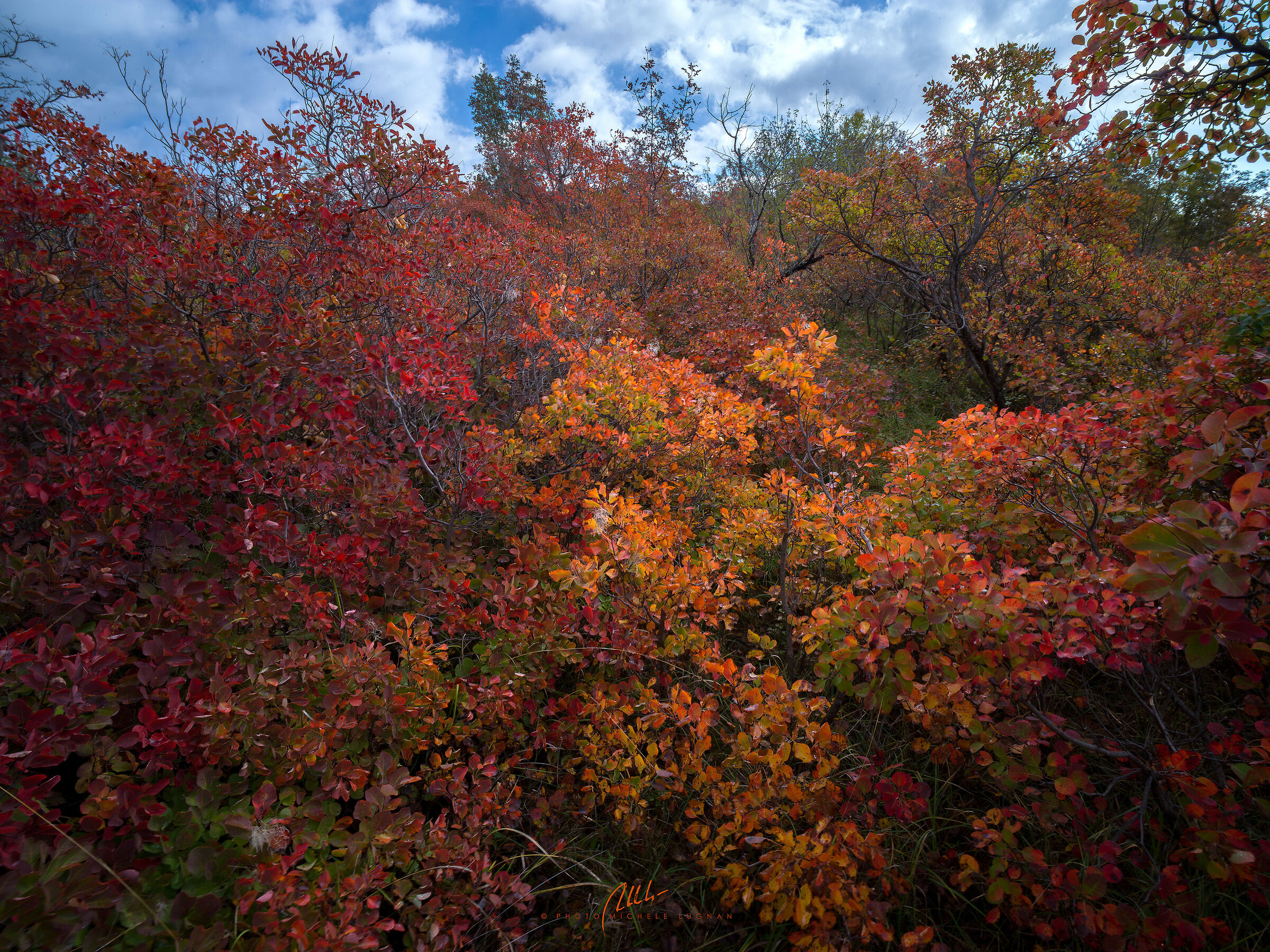 HerbstLaub im Karst