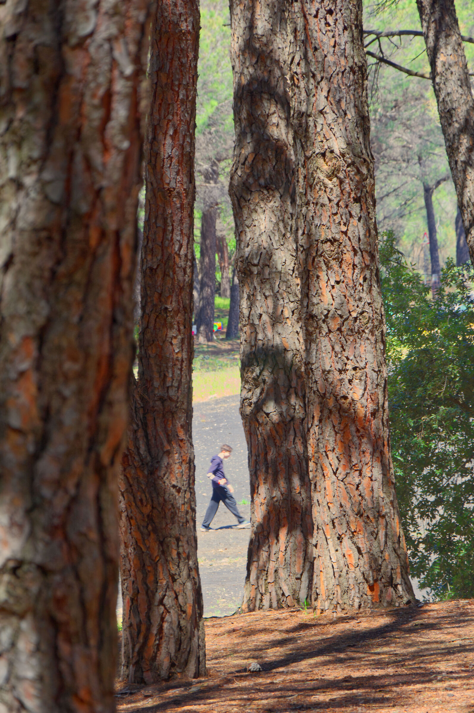 Walking in Nature
