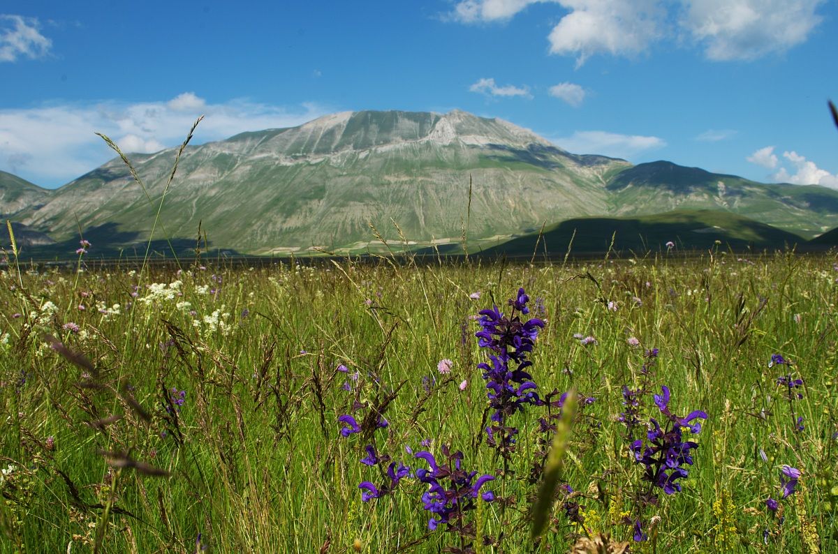 castelluccio