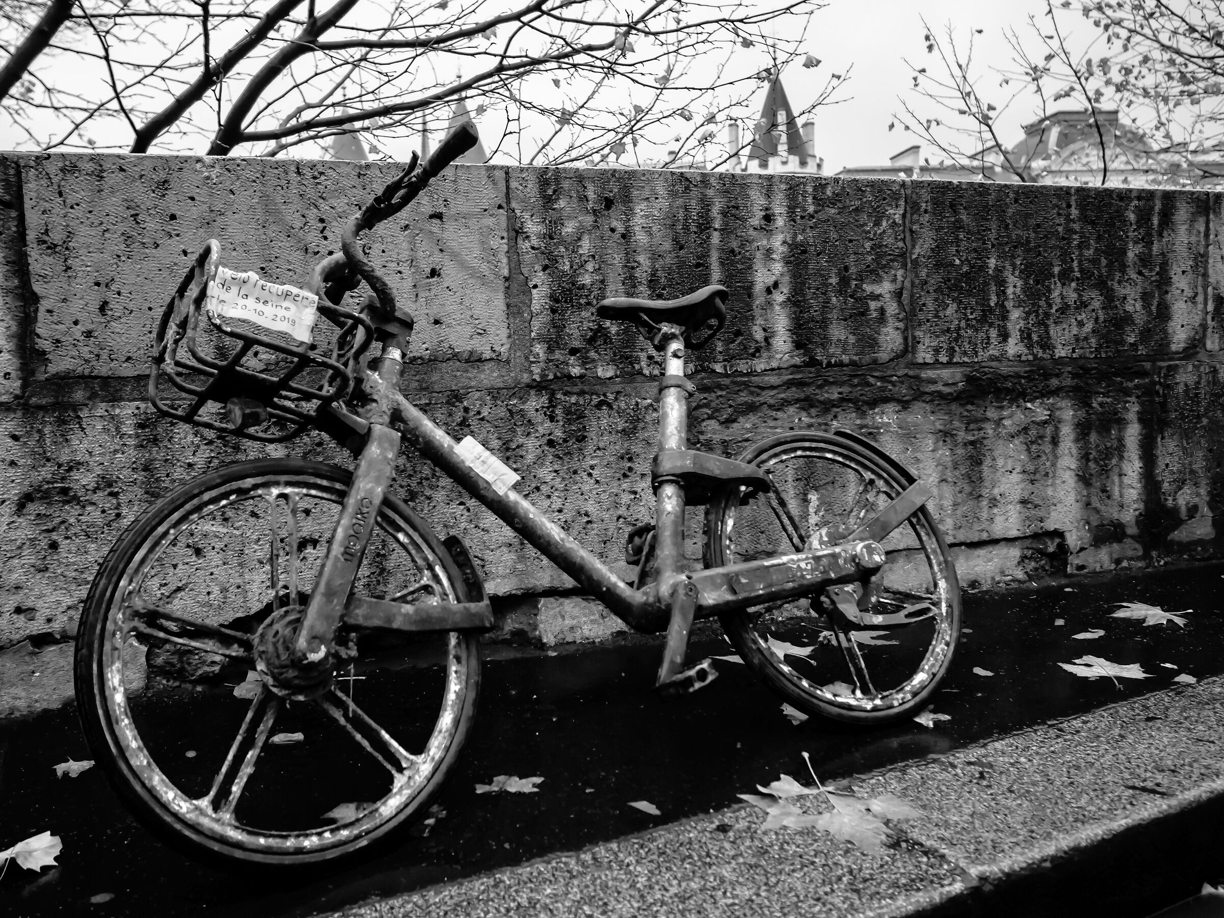 Recuperata sul forno della Senna