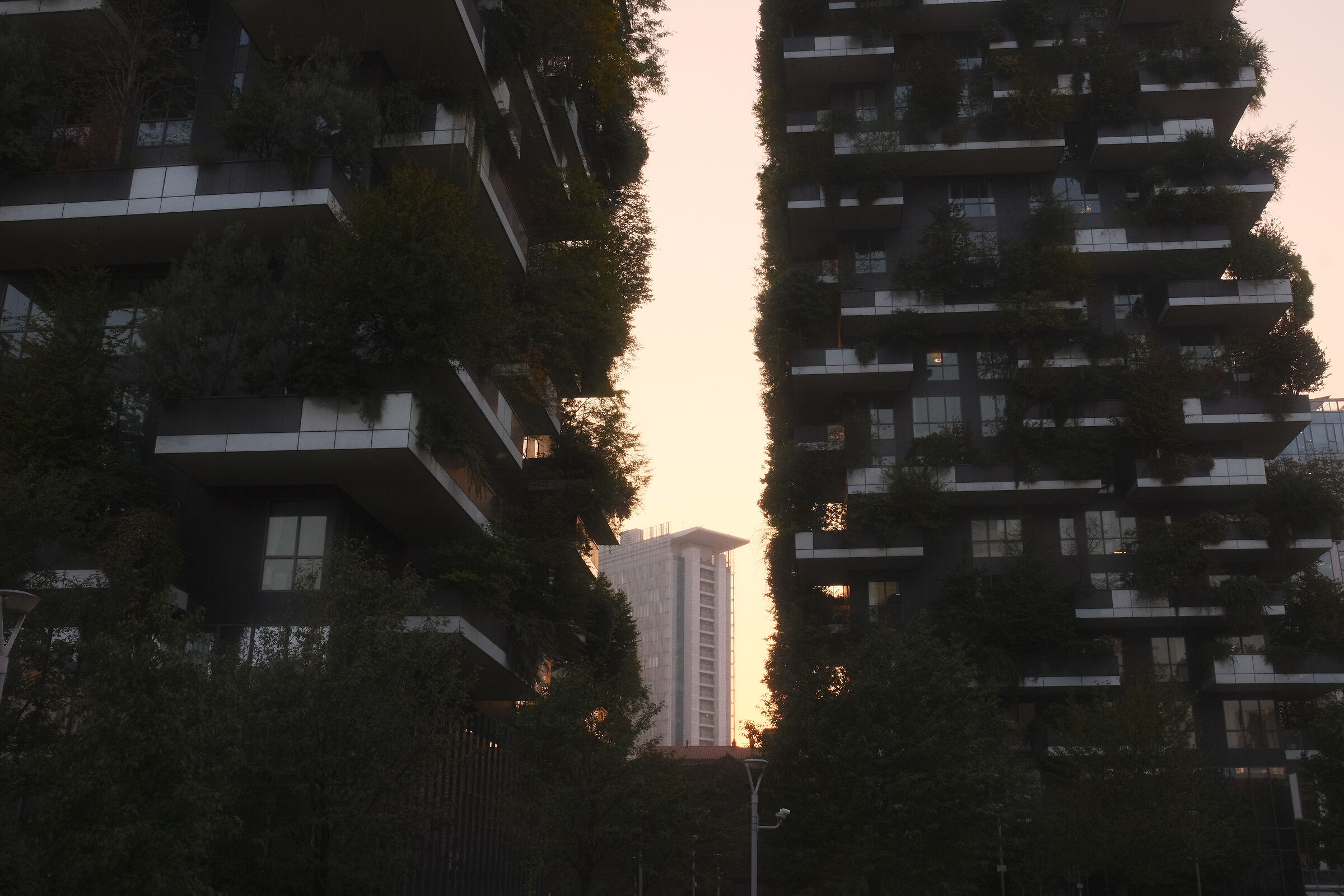 Modern city