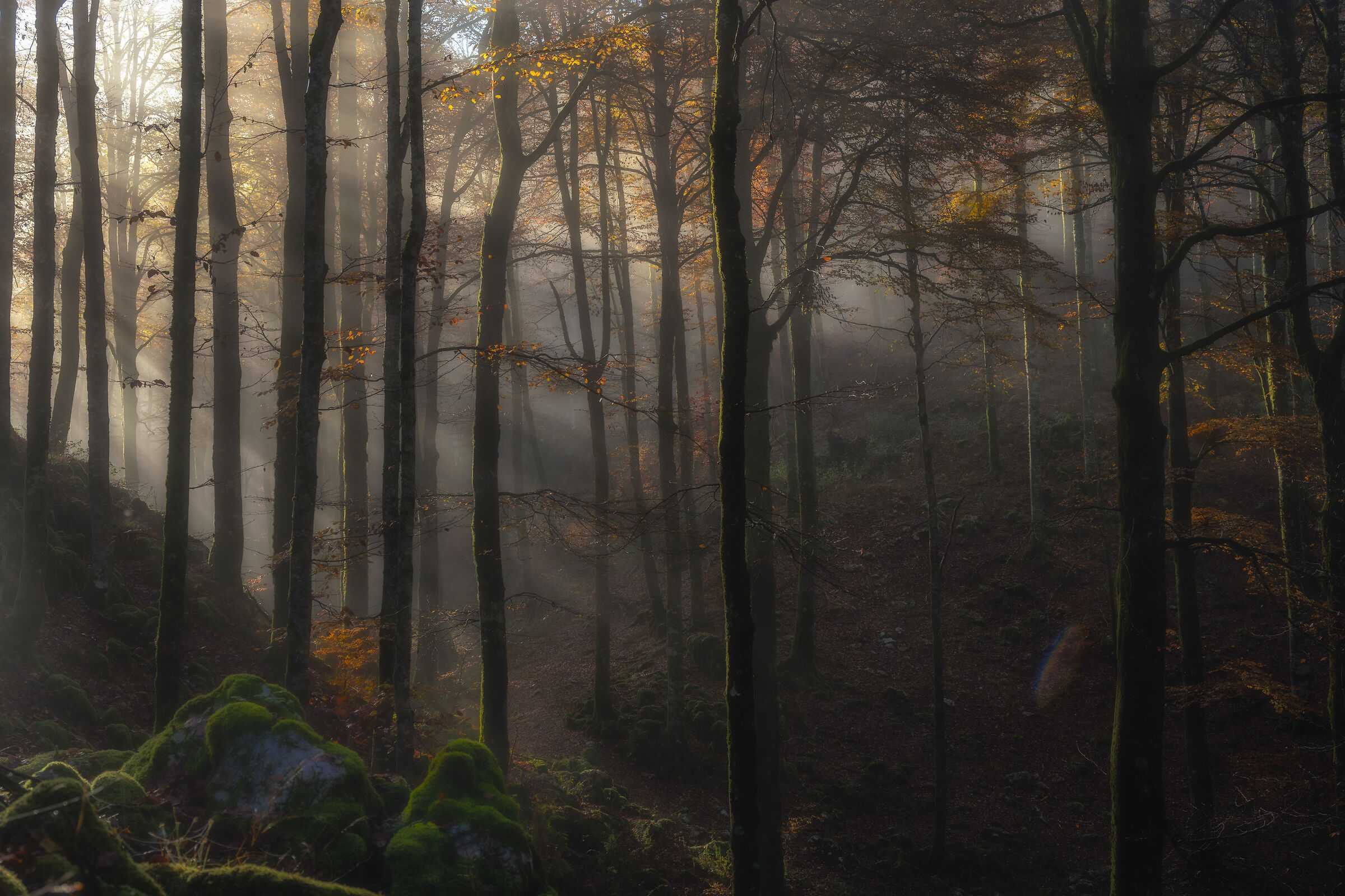 autunno