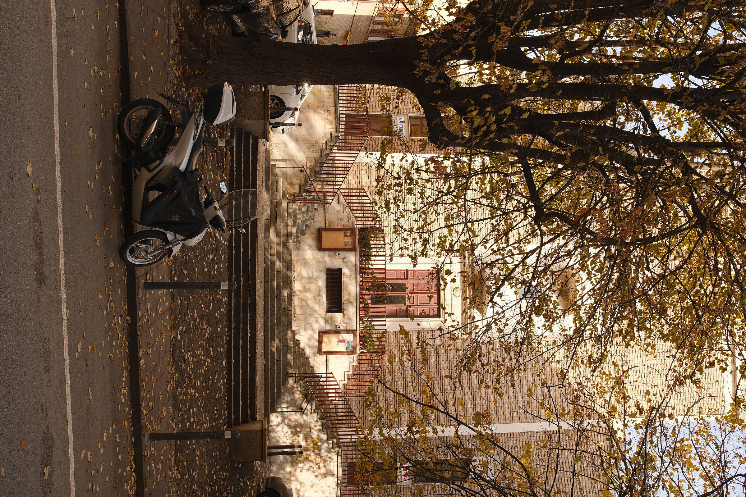 Autumn
