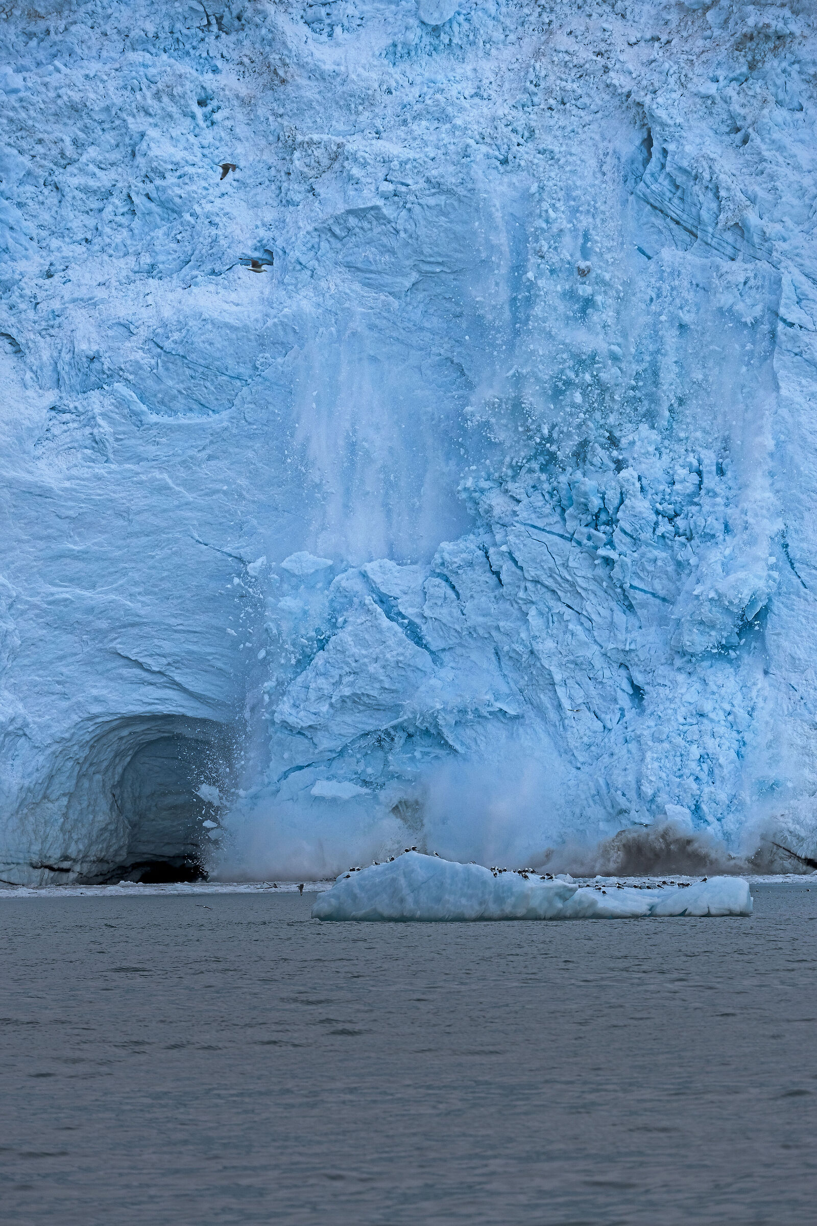 Calving of the Eqi glacier