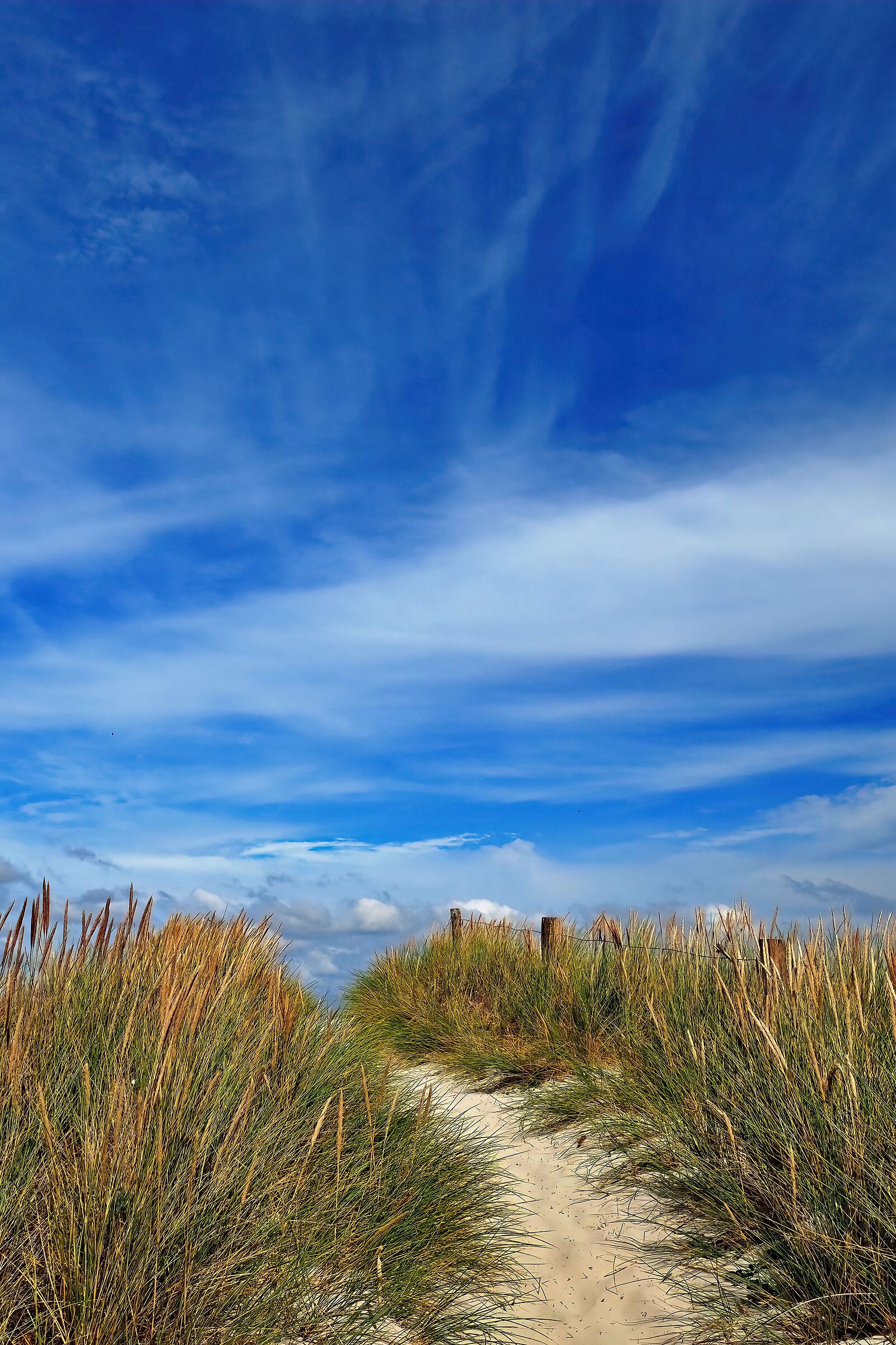 PLAGE DE KERMAREC - FINISTERE - 18-07-2025
