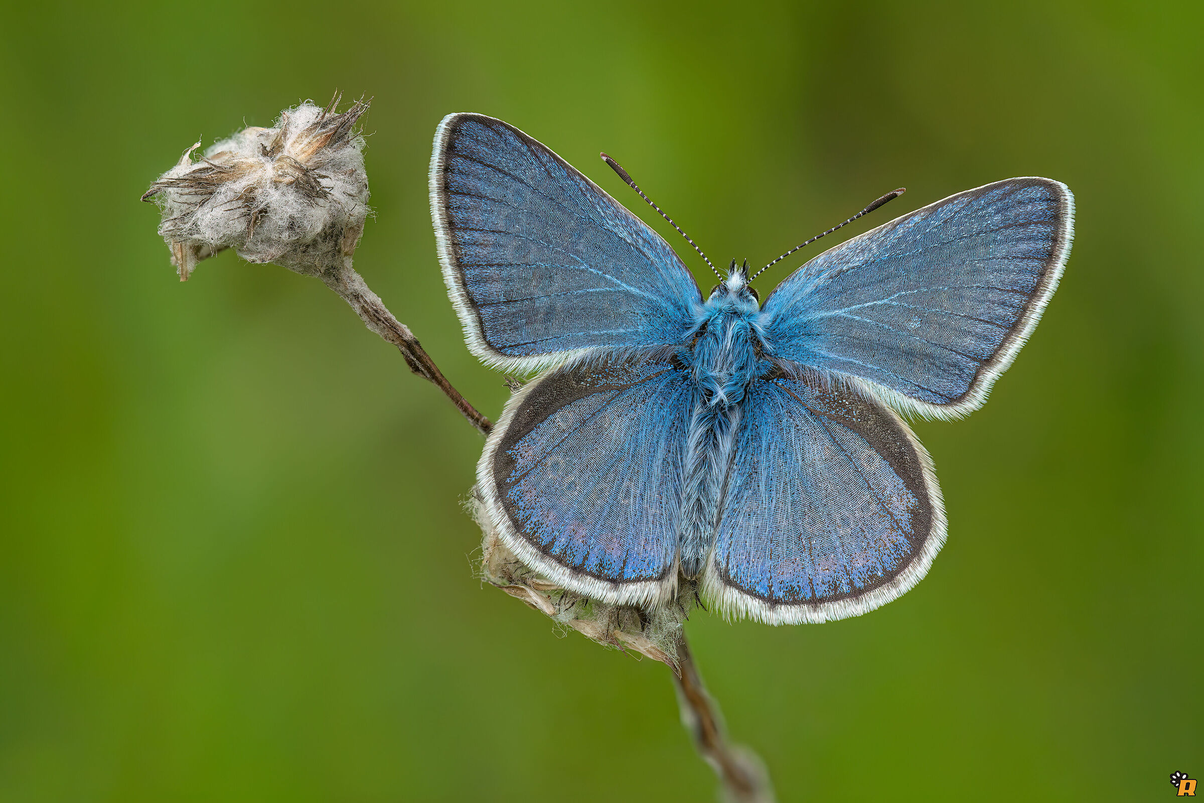 Che sorpresa! (parte 1)