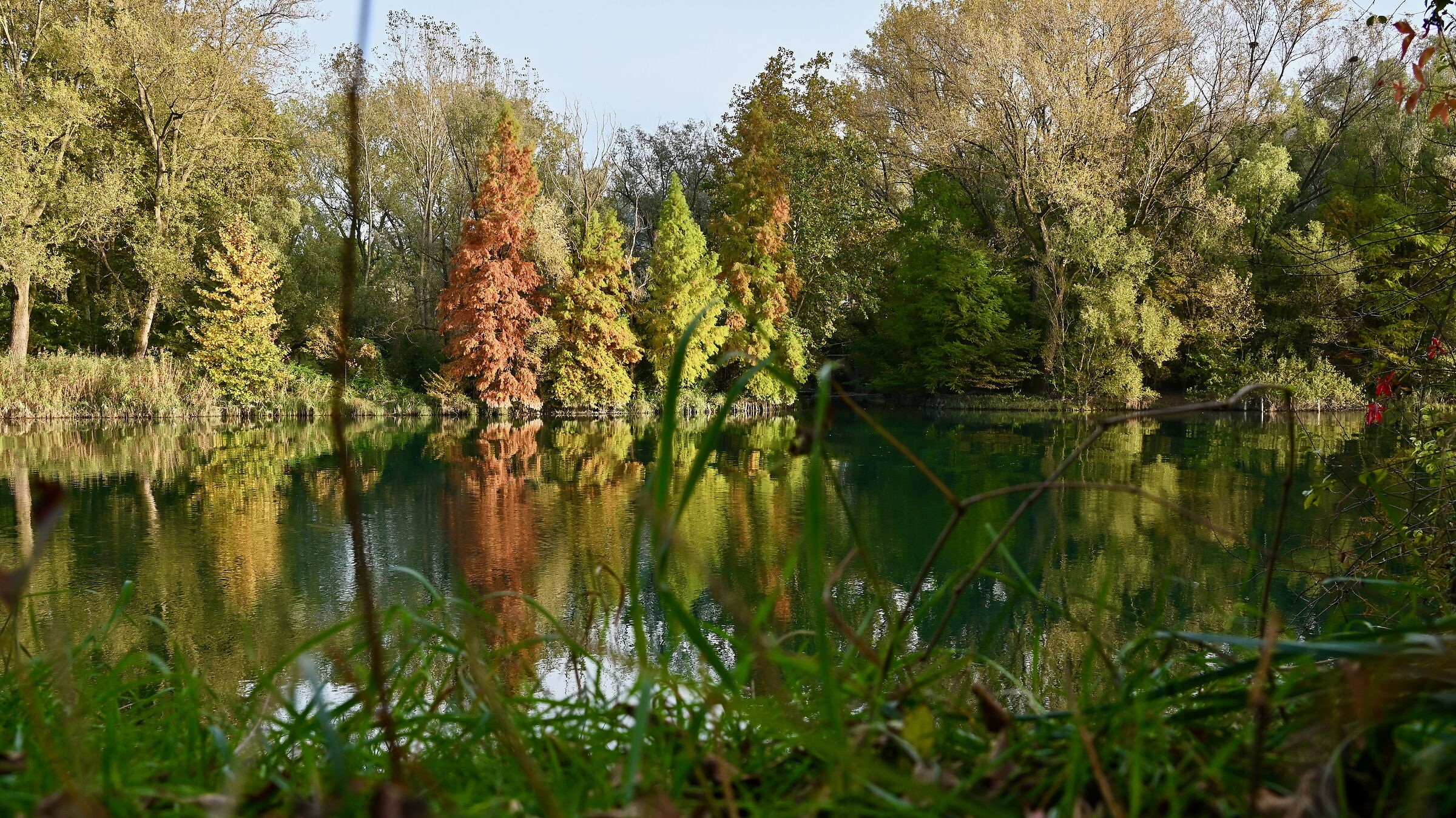 Adda near Brivio