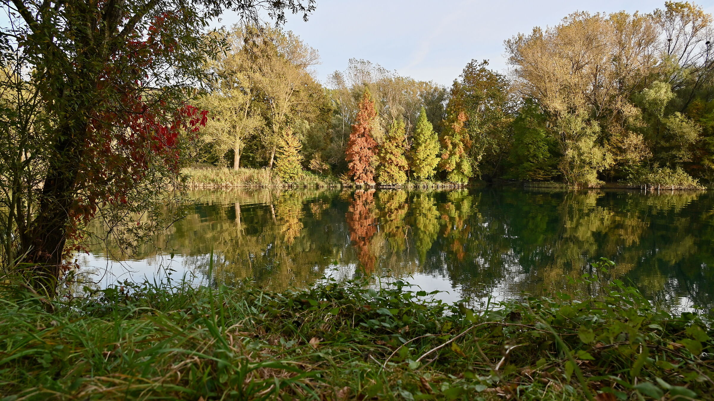 Adda near Brivio 3