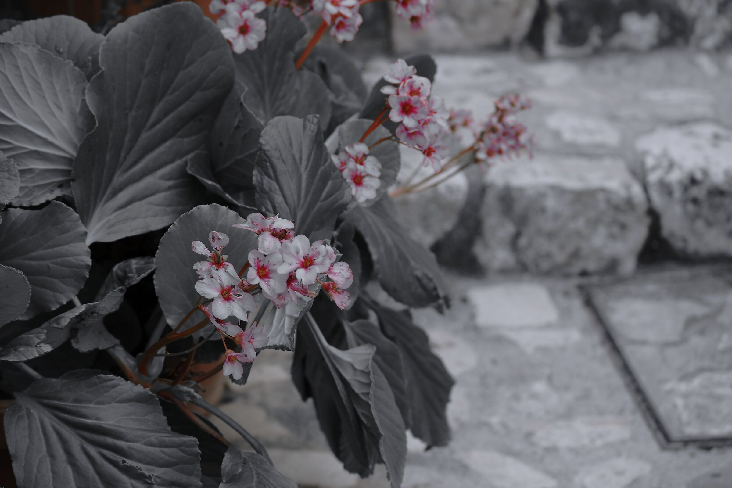 Untitled Photo