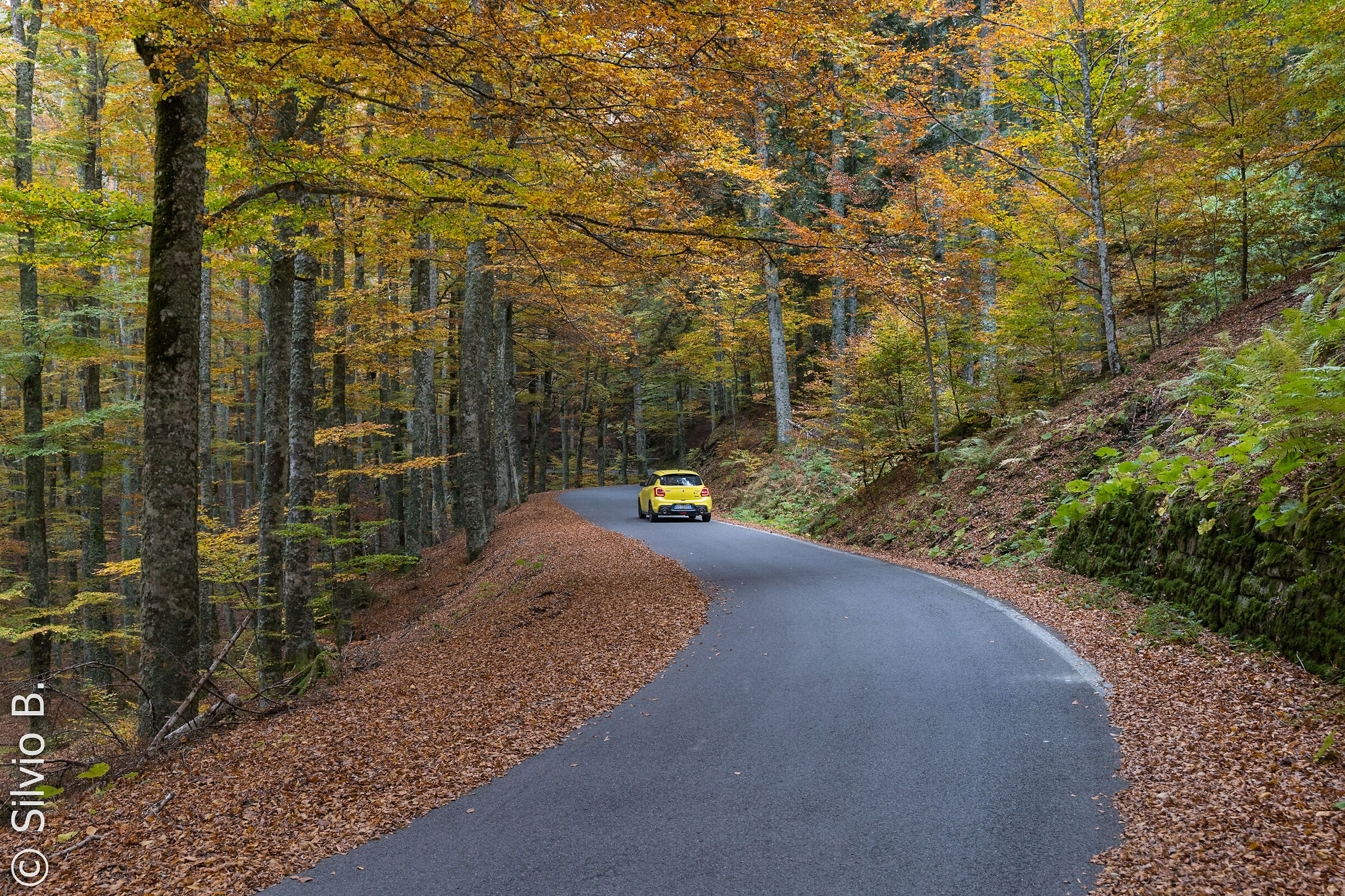 autumn