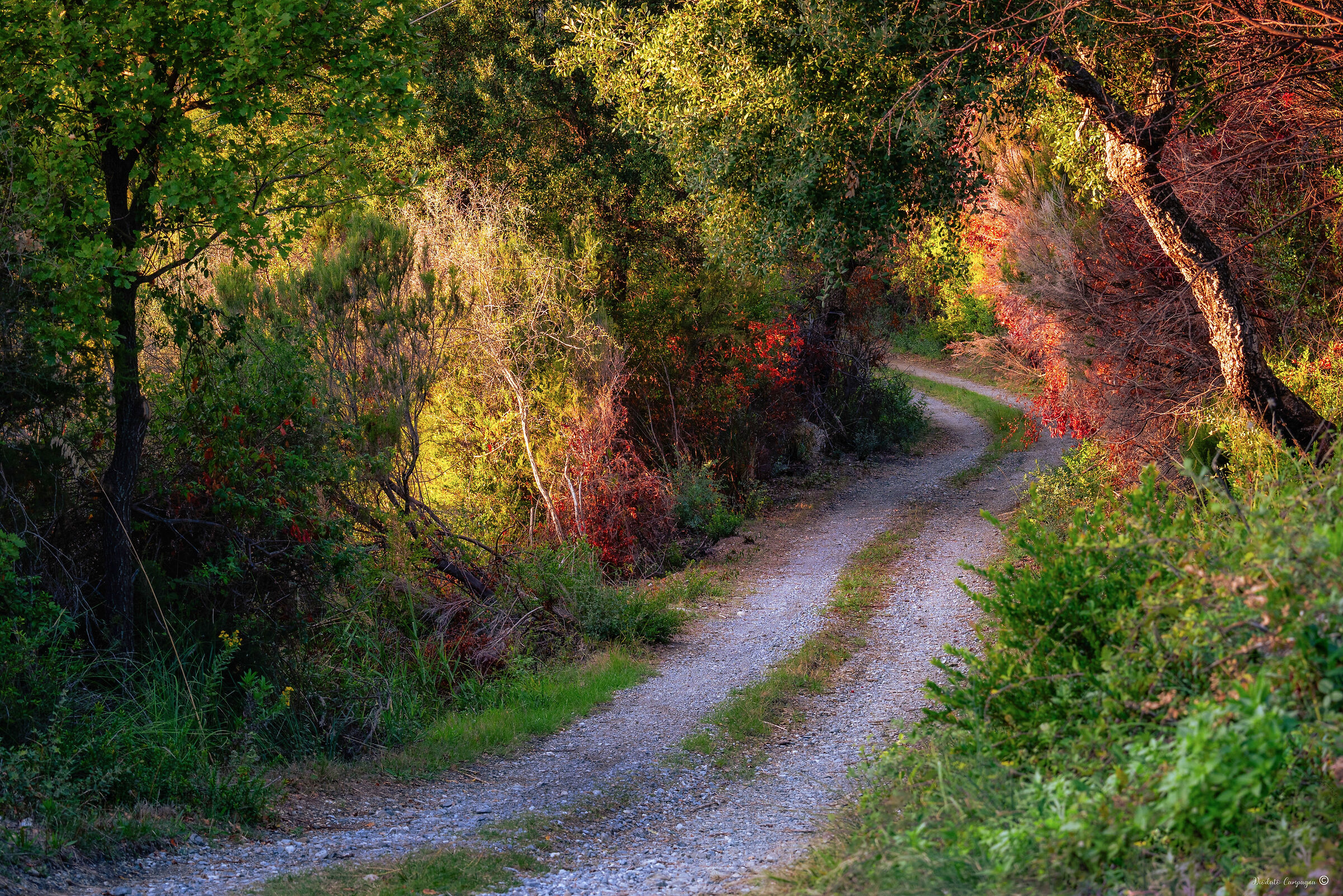 Autunno tra la macchia mediterranea