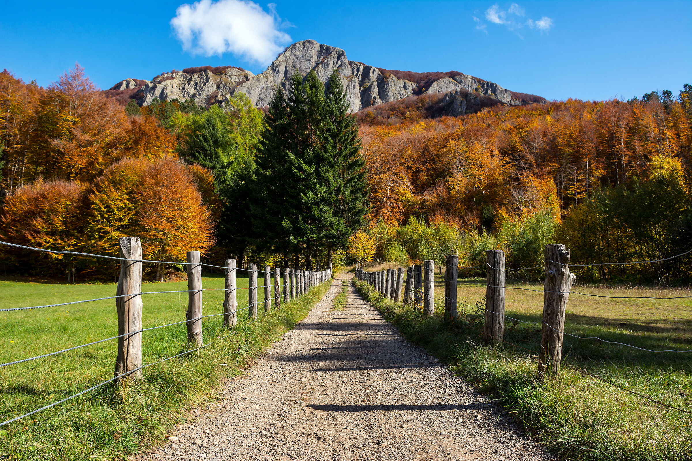 The road to autumn