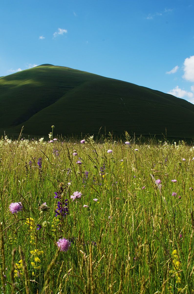 castelluccio