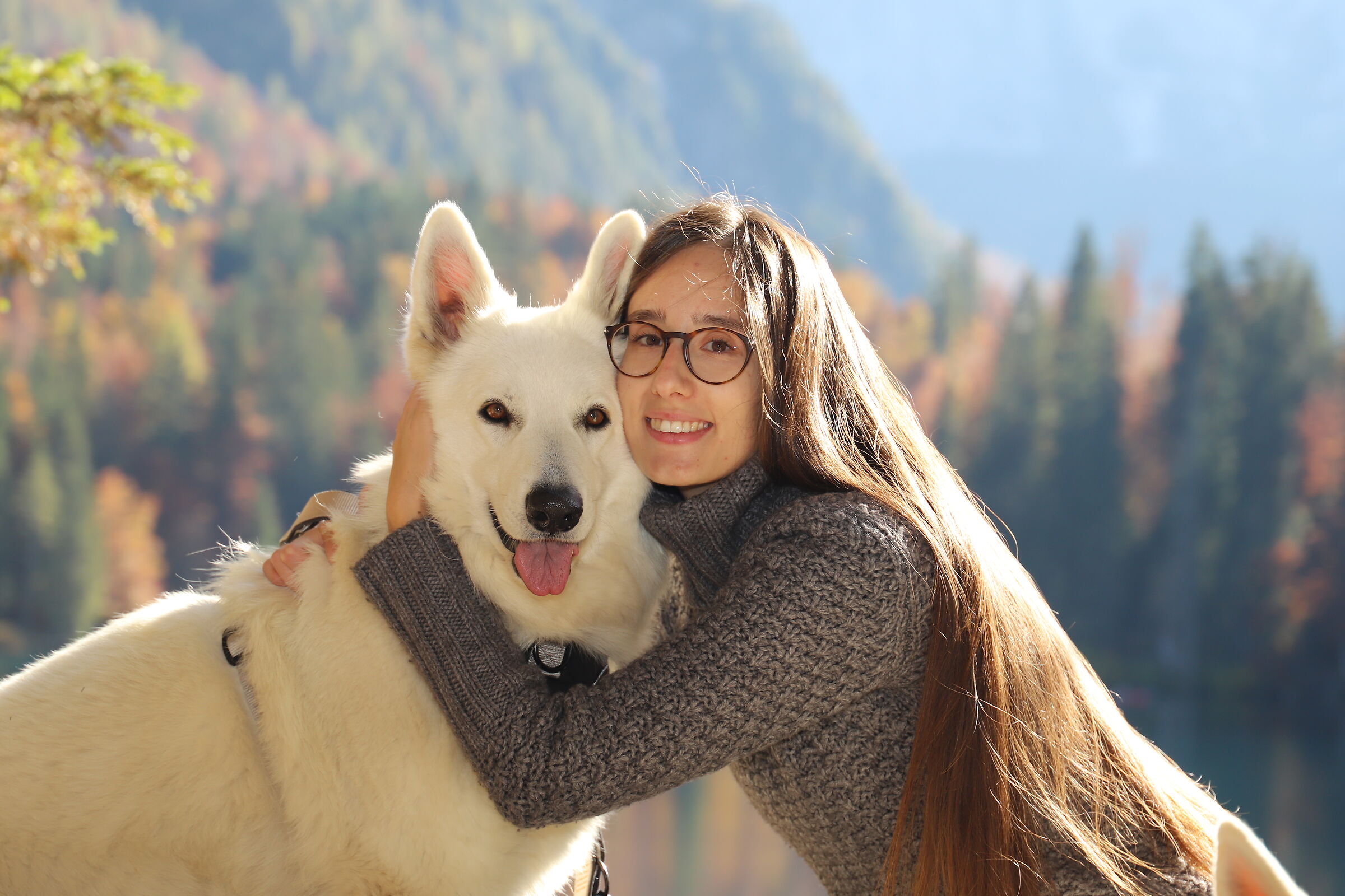 The wolves of the house