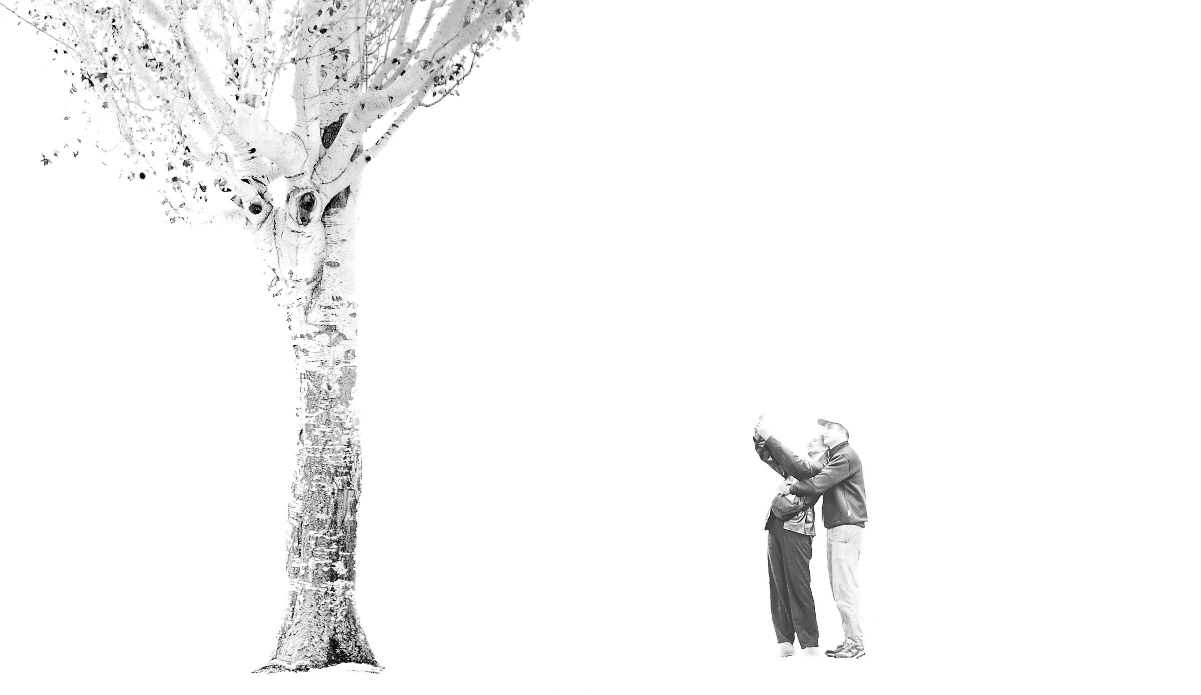 E ad un certo punto arrivano i due piccioncini