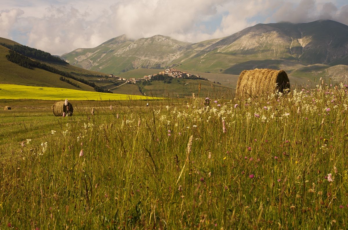 castelluccio
