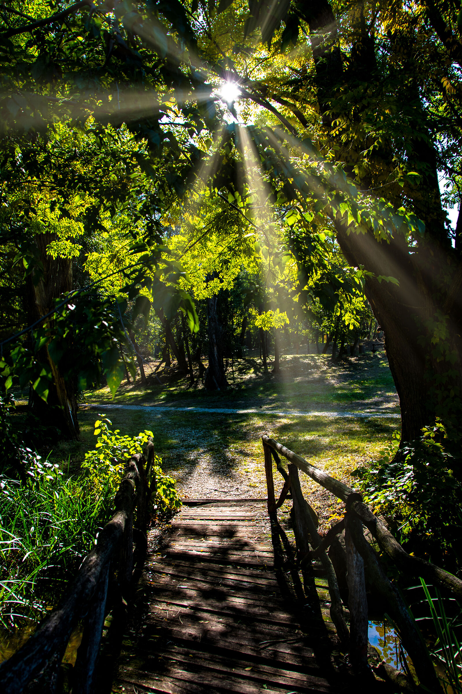L'autunno nel Parco Romanescu-Craiova
