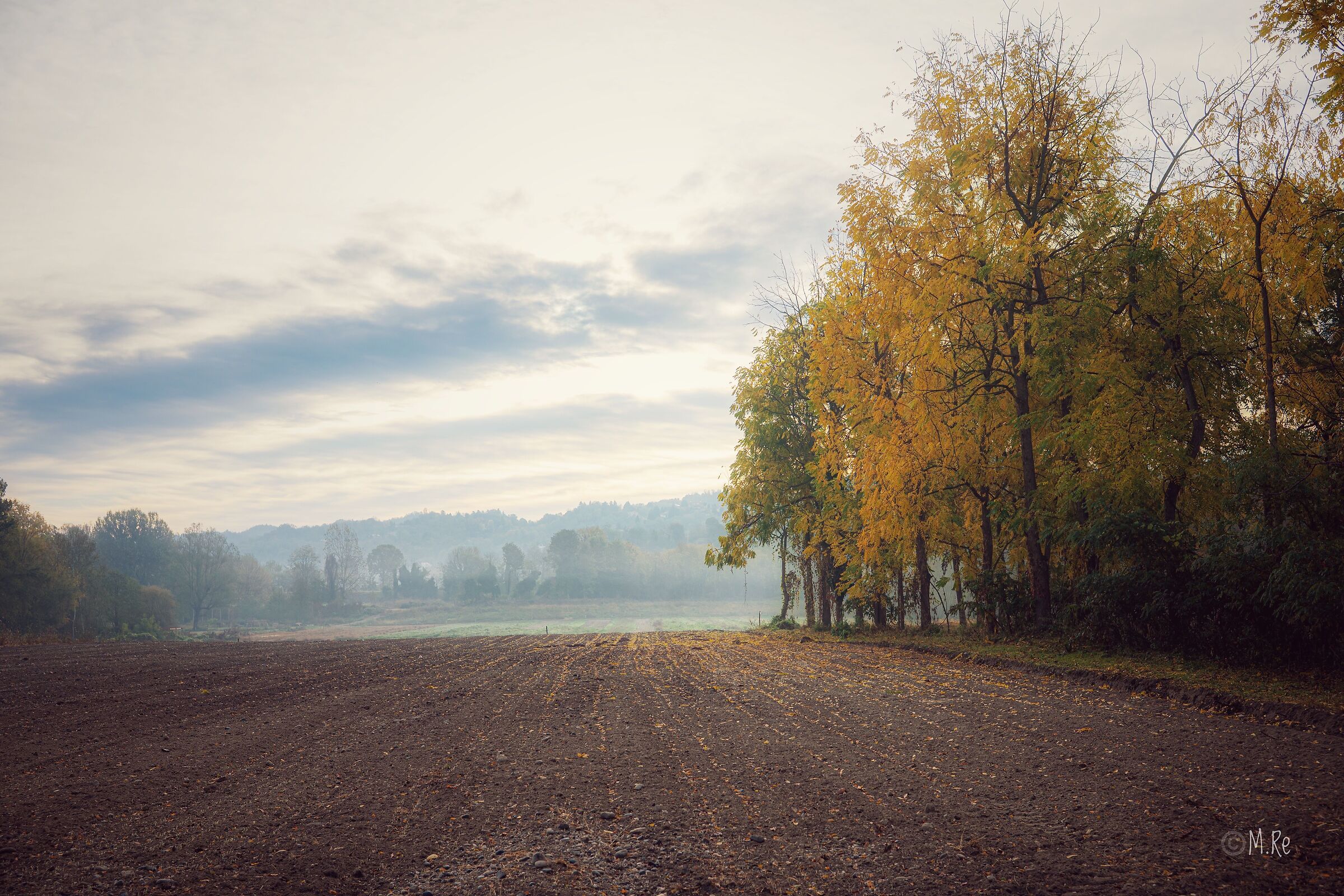 Autumn camp