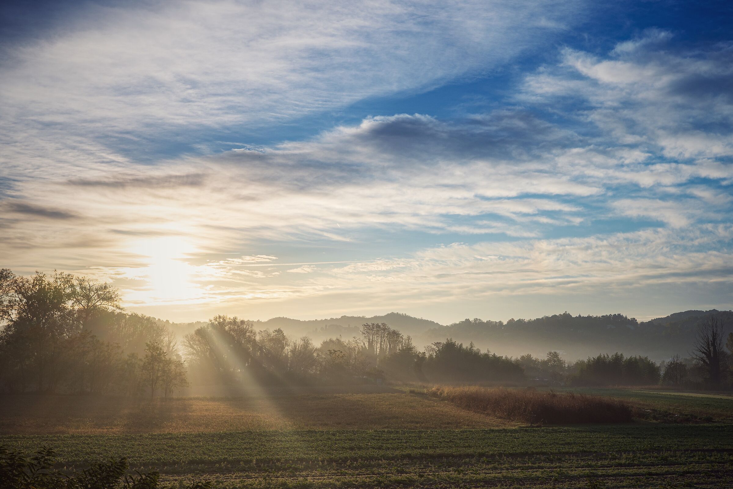 Sunrise in the fields