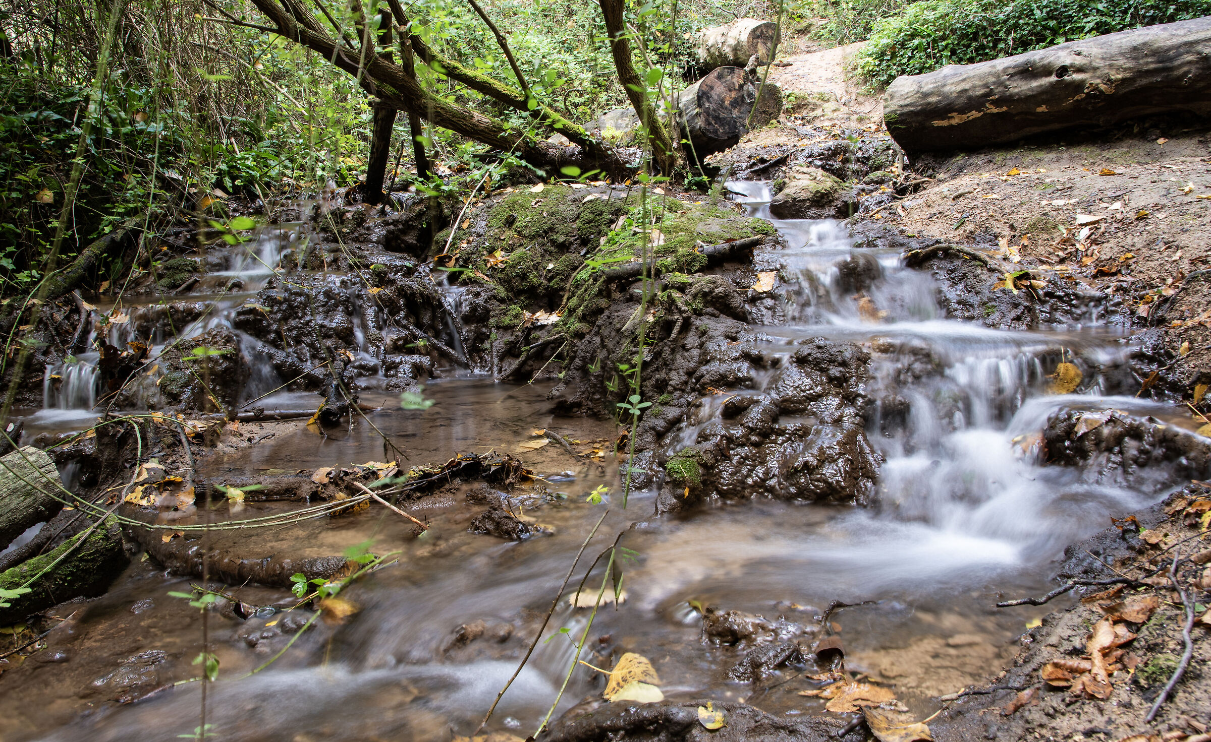 Cascate del Menotre 3 (cascata secondaria)