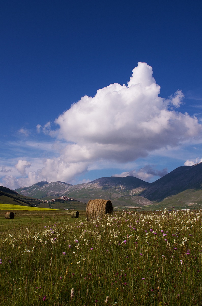 castelluccio