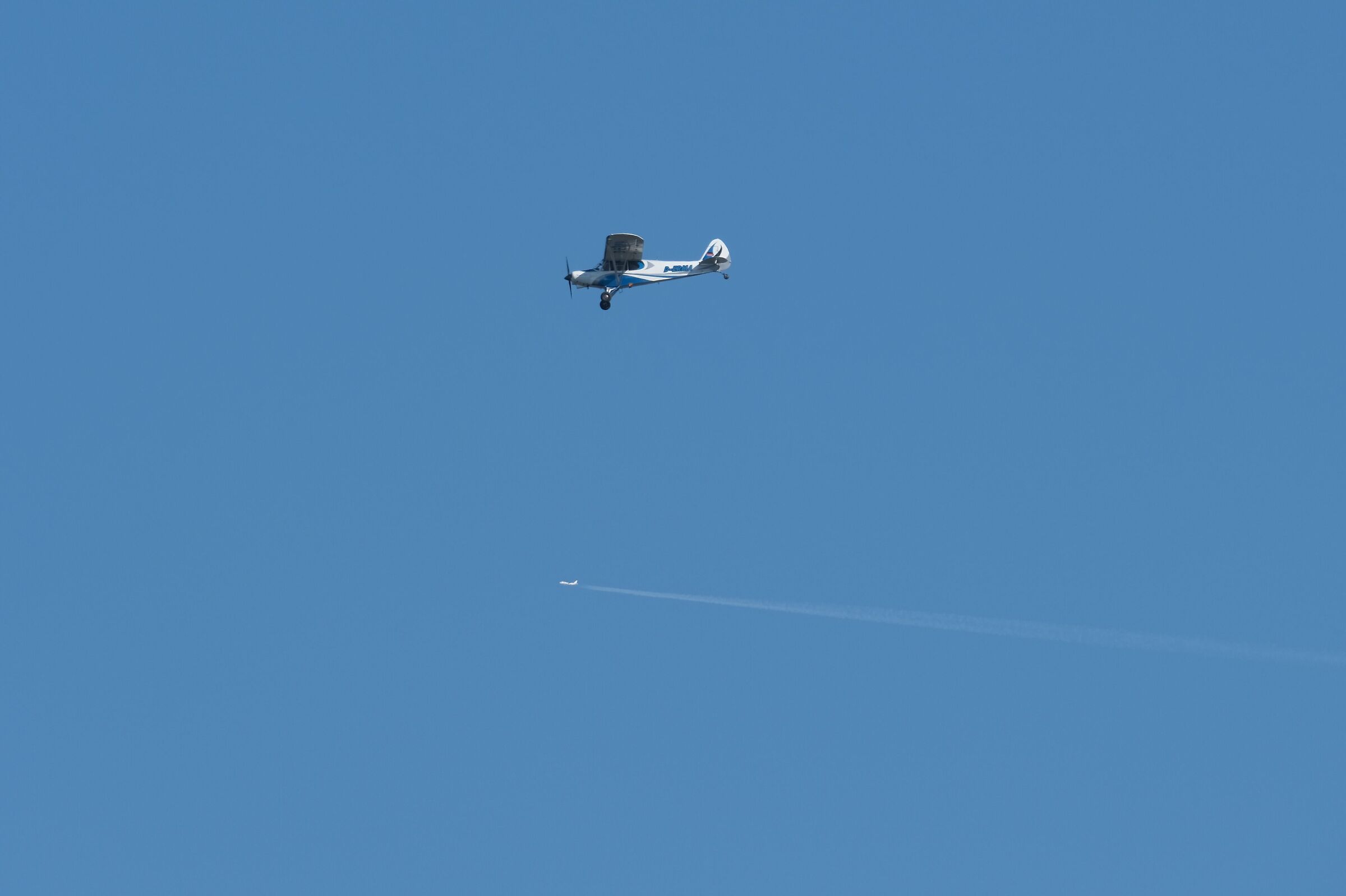 Aerial race who wins?