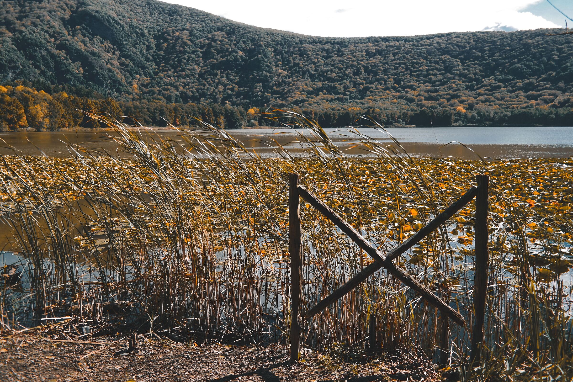 Untitled Photo
