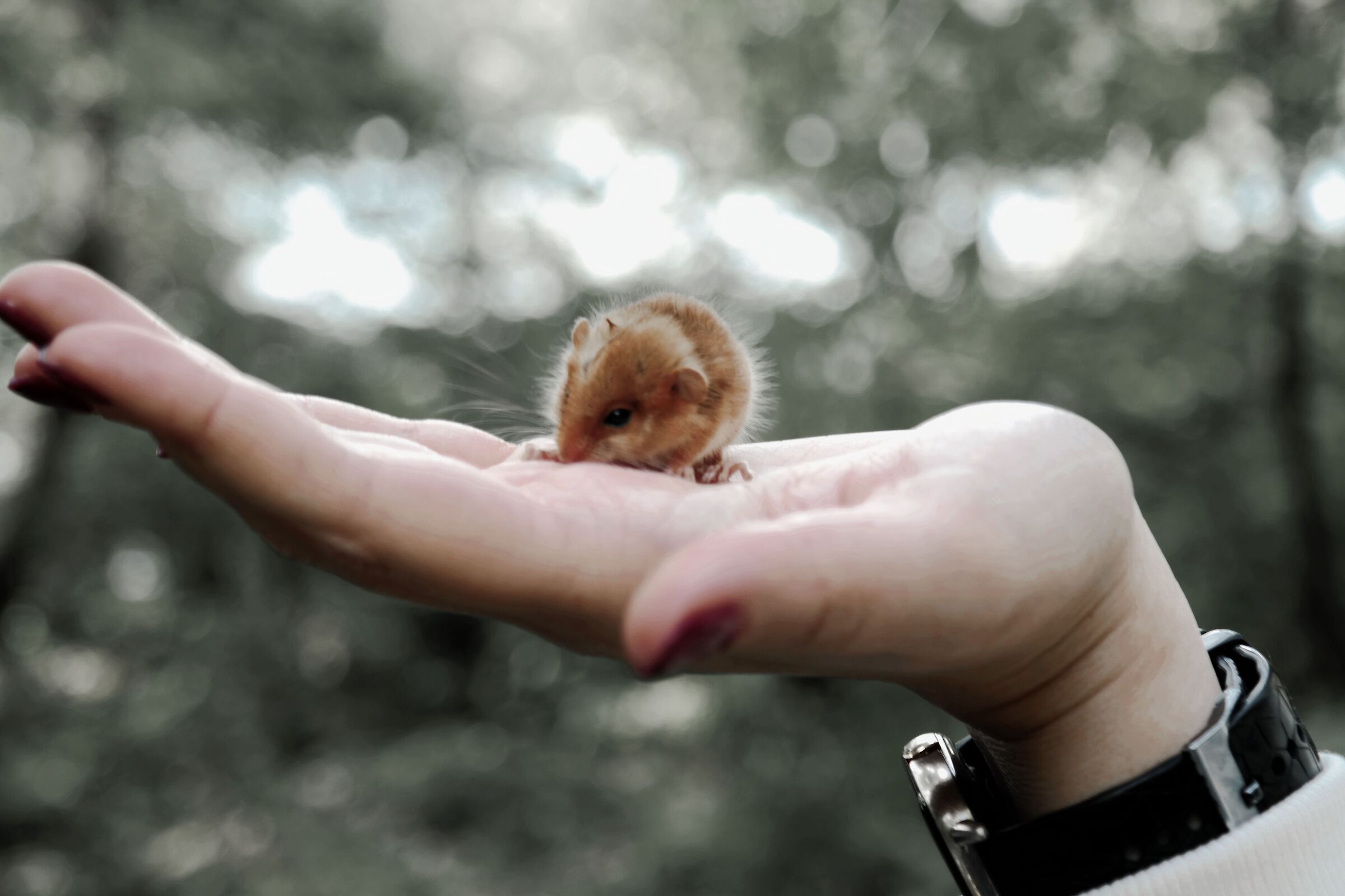 Untitled Photo