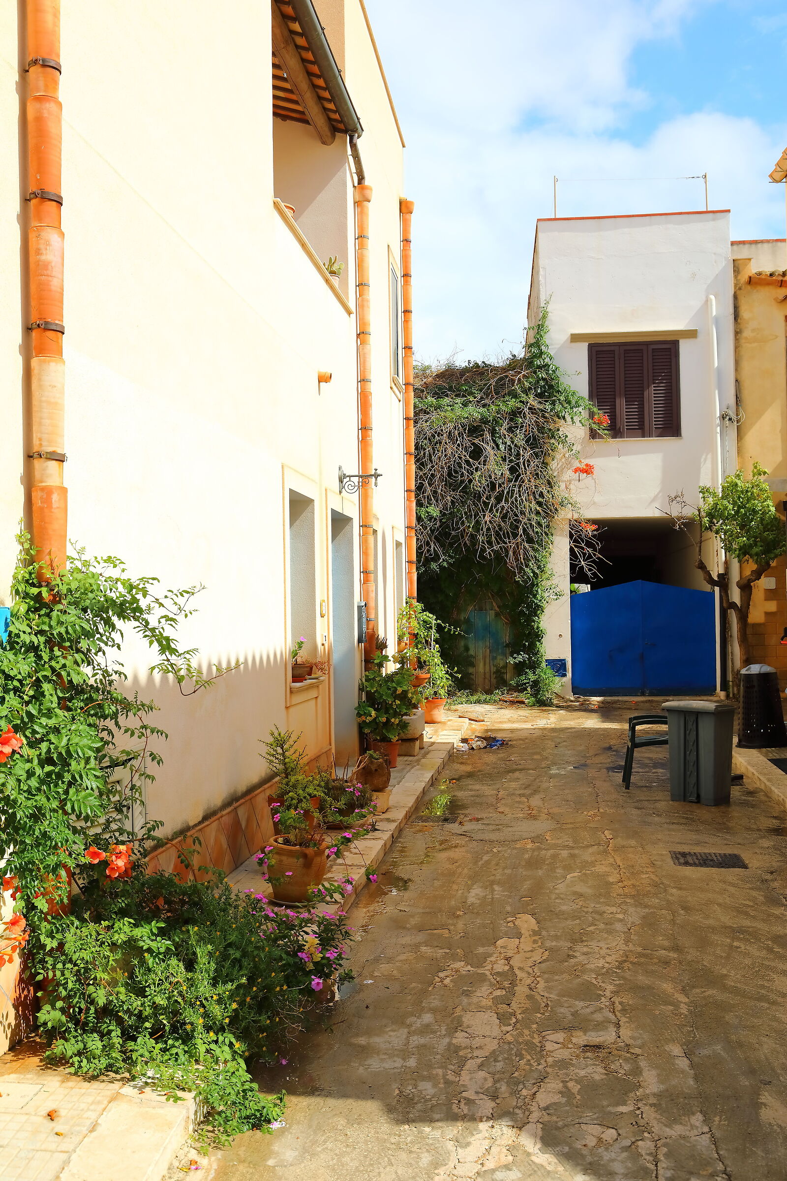 Scorcio 02 ottobre 2025 - 0067