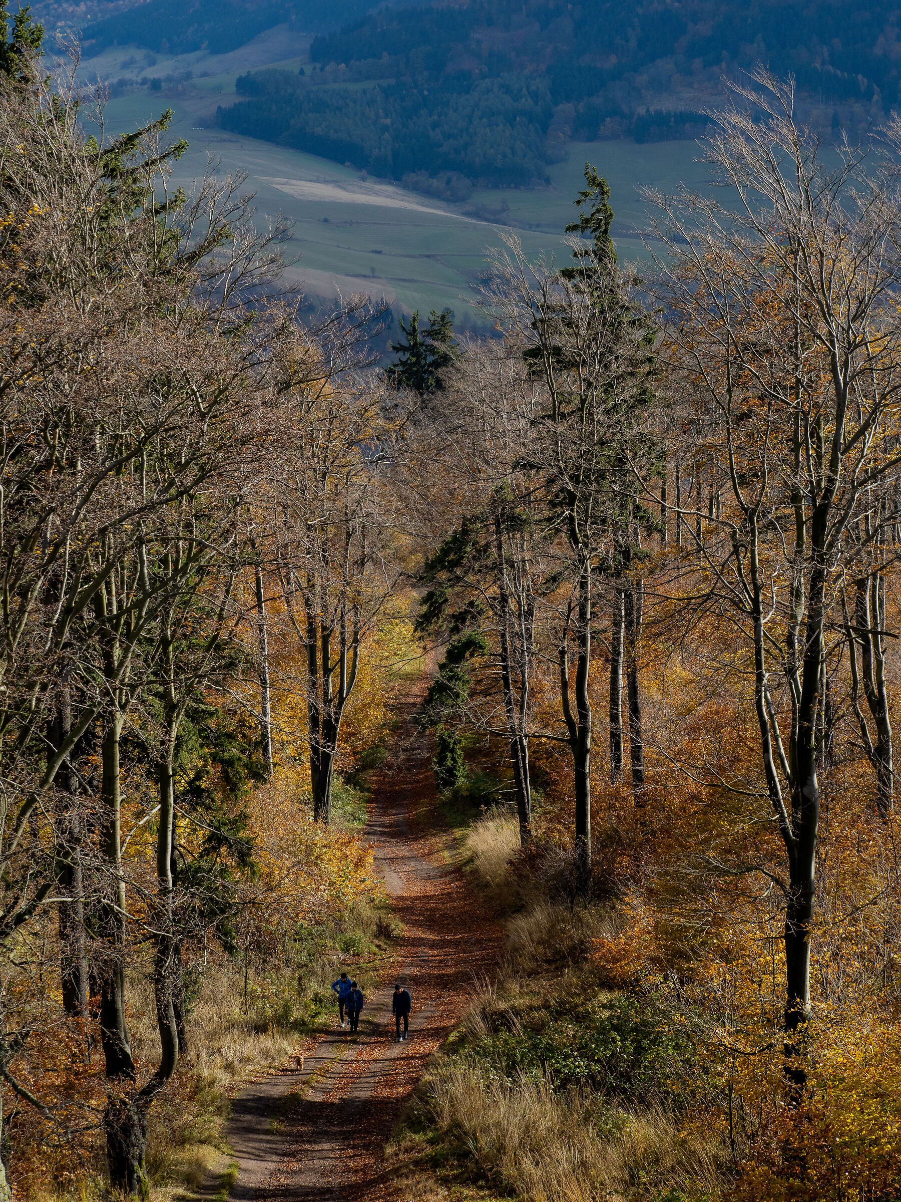 L'escursione domenicale