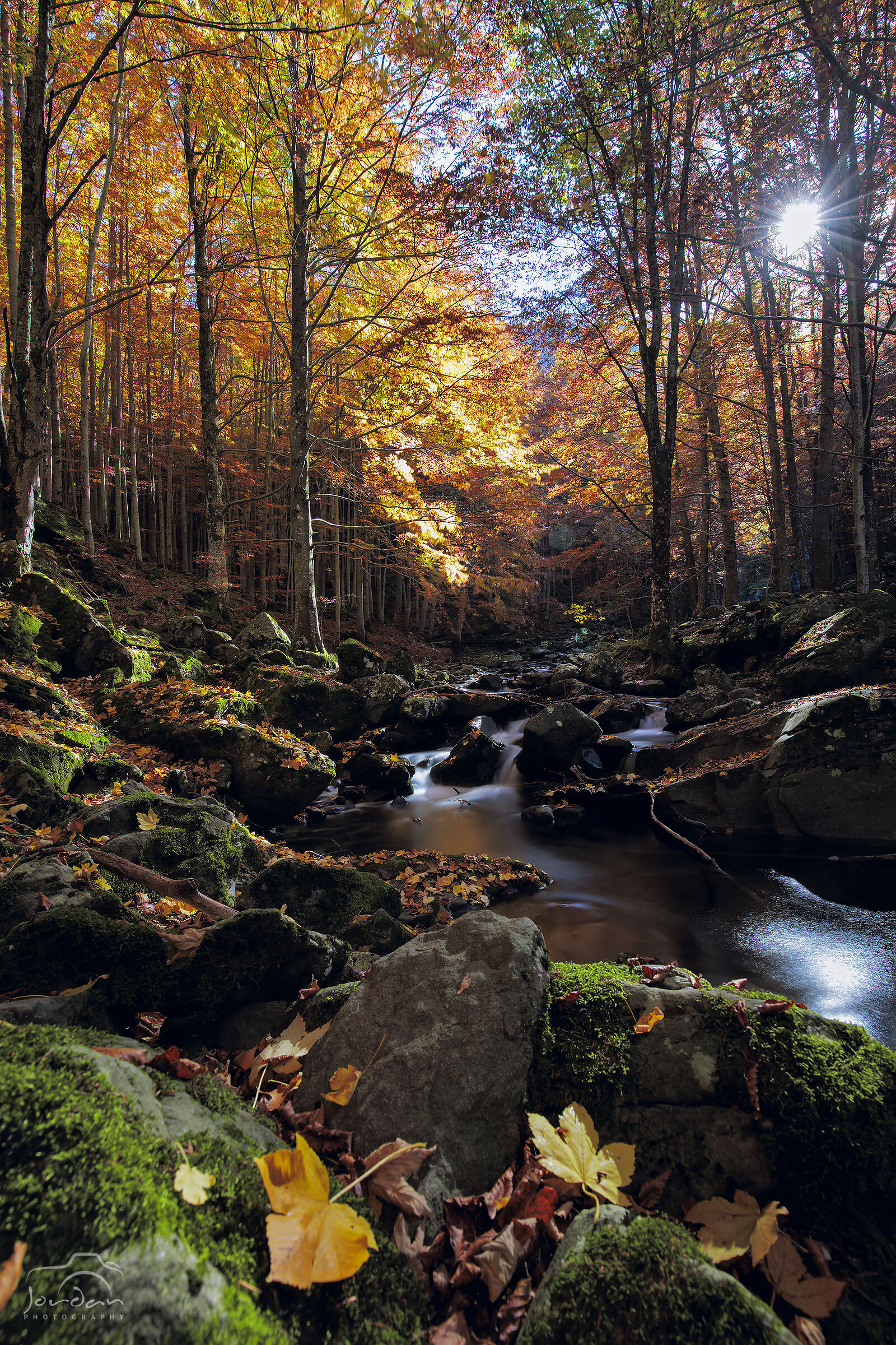 The colors of Autumn