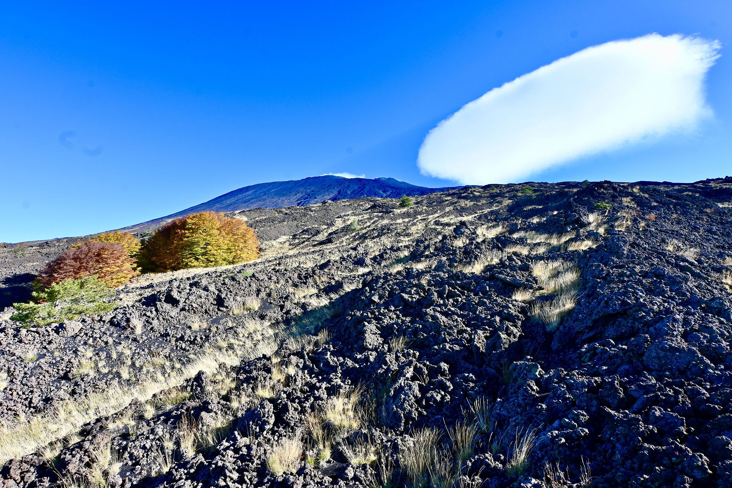 Etnean Lava and autumn