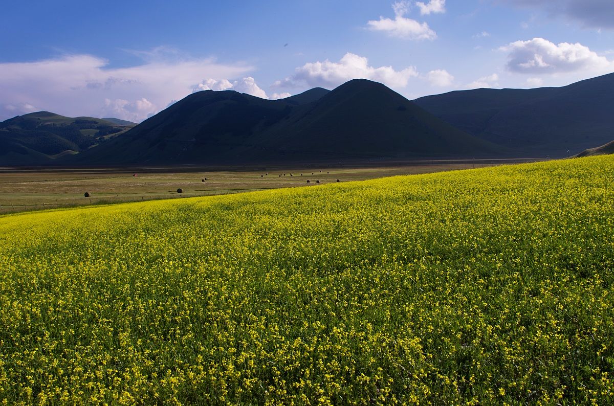 castelluccio