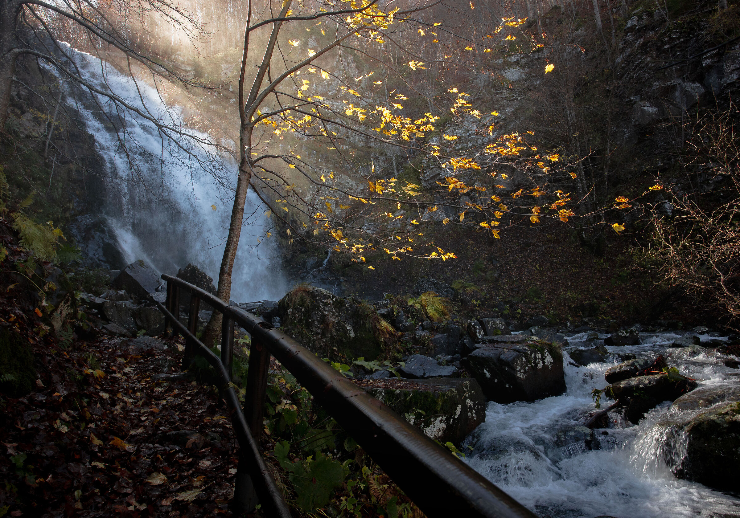 Cascate del Dardagna