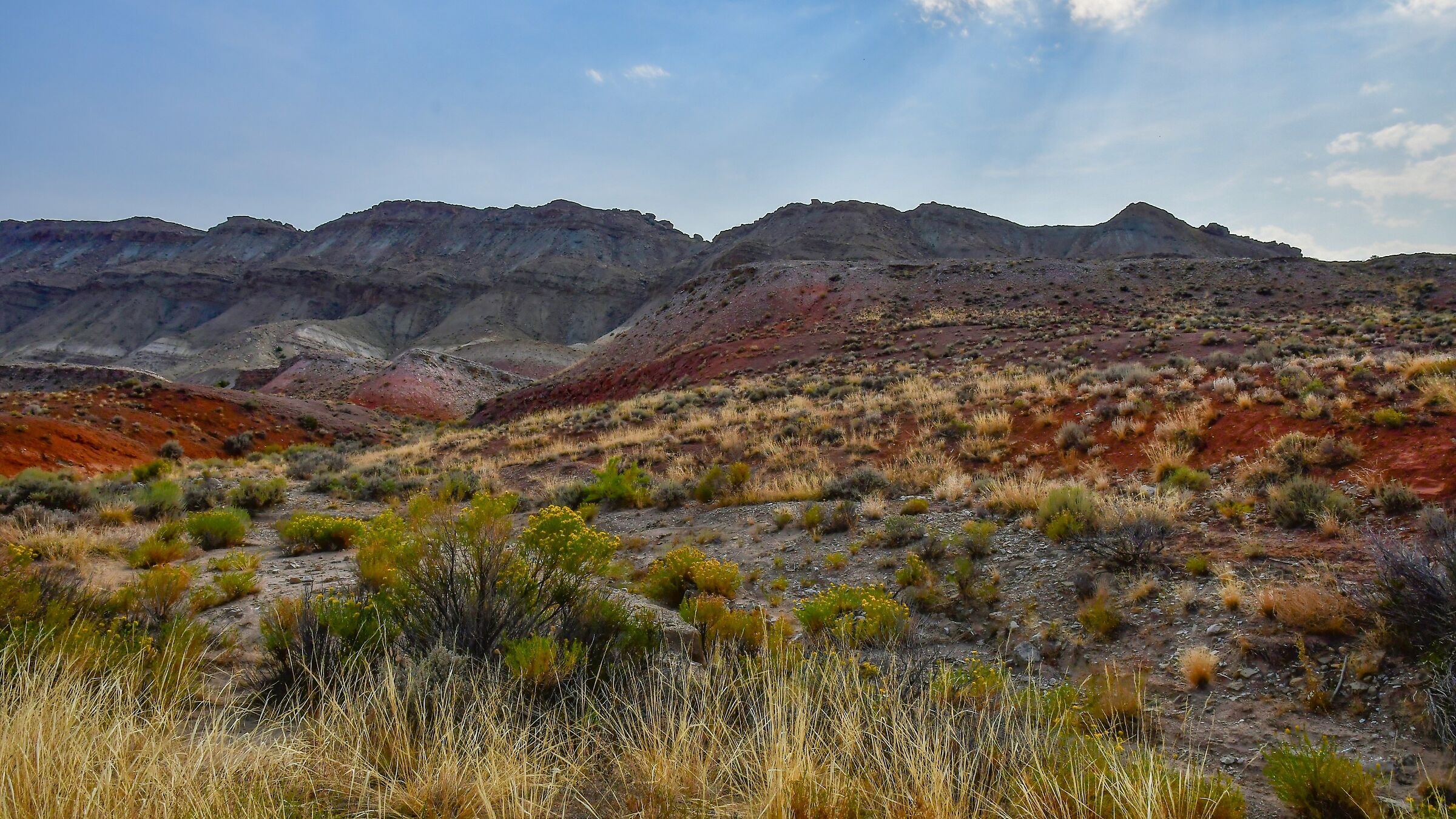 presso le sponde del Bighorn Lake