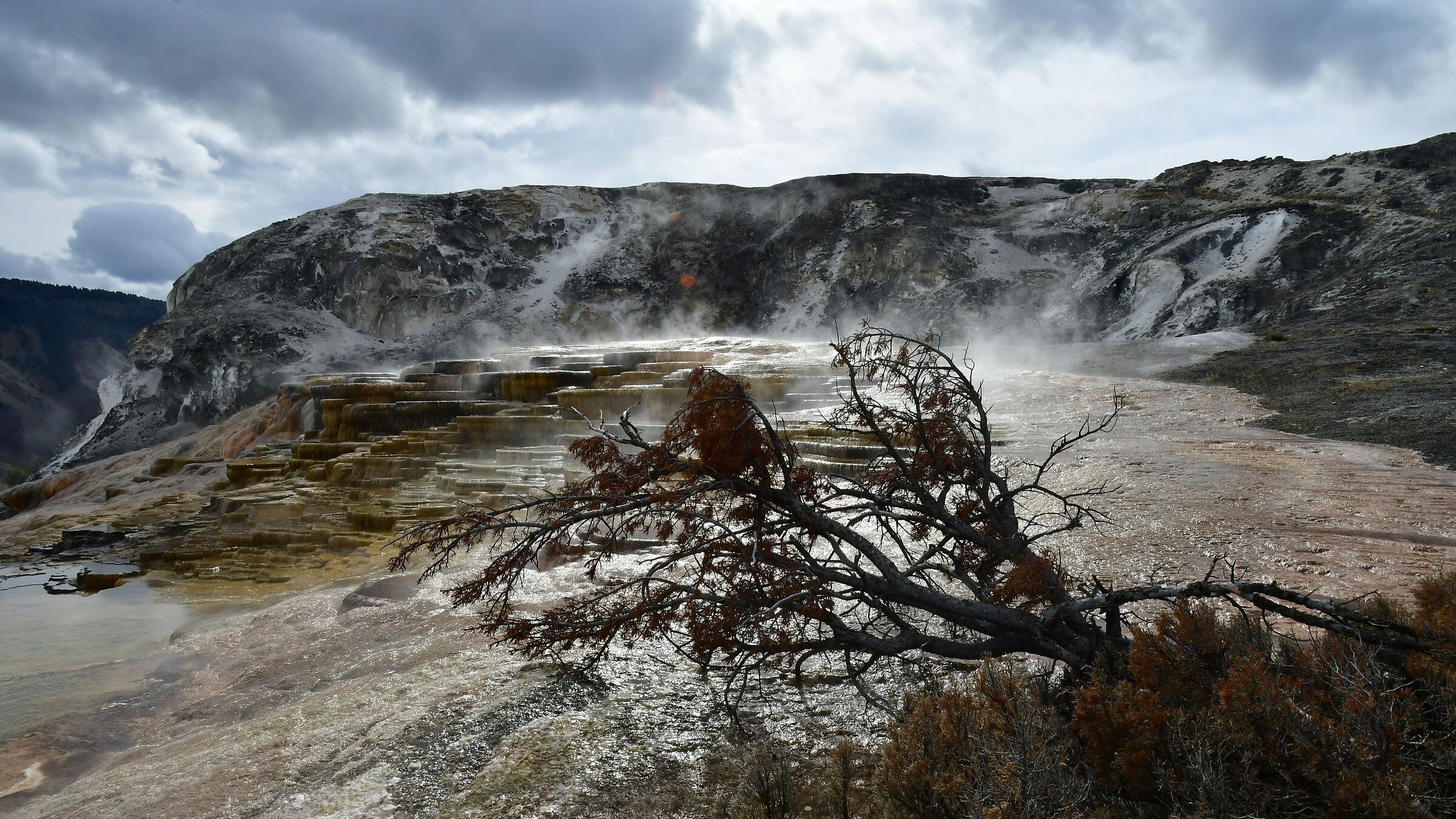 Mammoth terraces