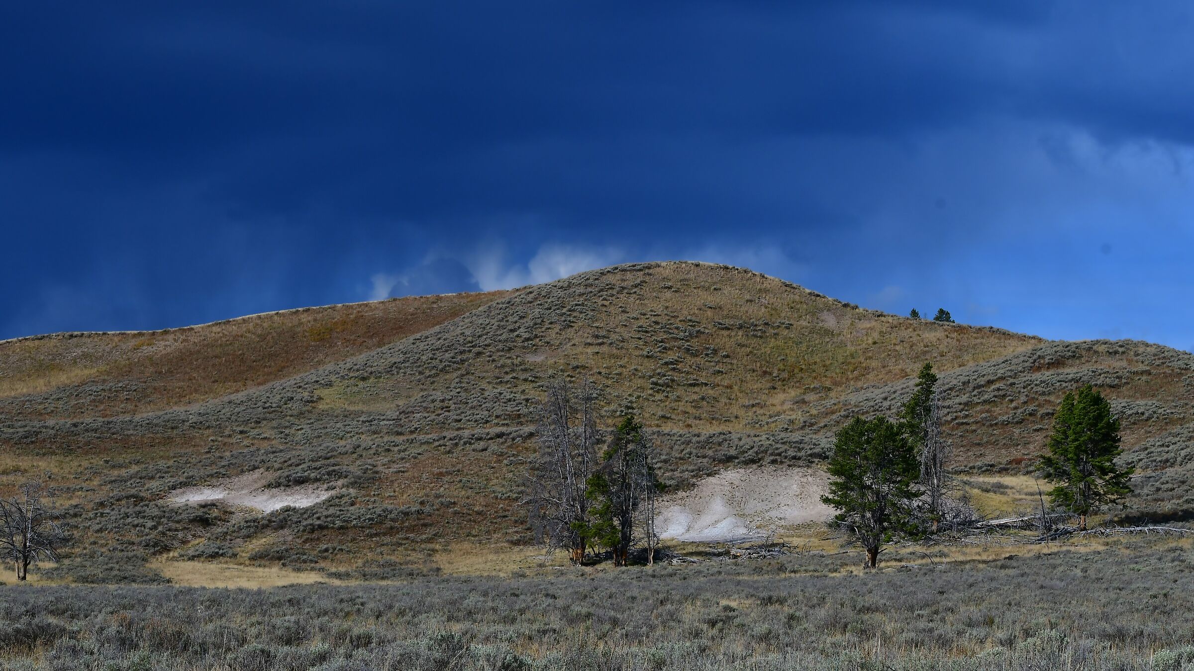 lungo la Hayden Valley