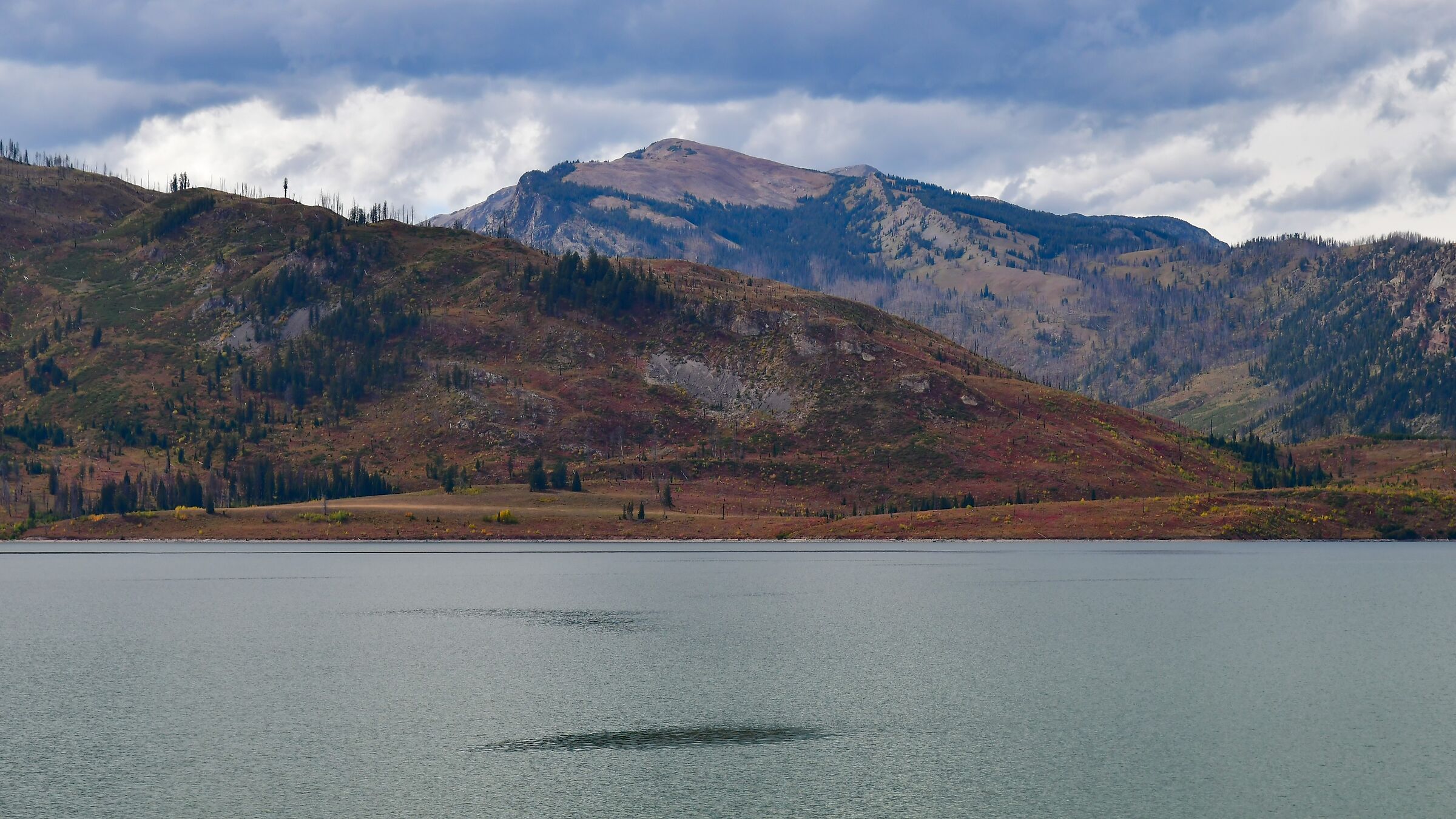 sulle rive del Jackson Lake